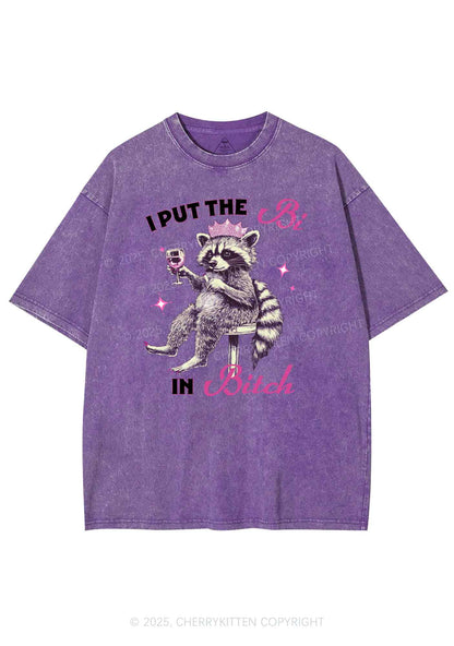 Bi Bxxch Raccoon Pride Y2K Shirts Washed Tee Cherrykitten