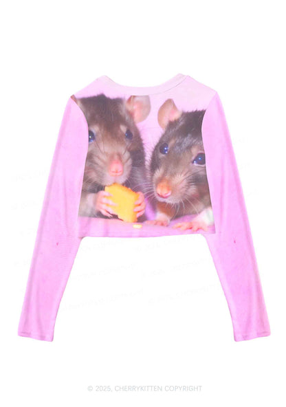 Cheese Rat Y2K Mesh Long Sleeve Crop Top Cherrykitten