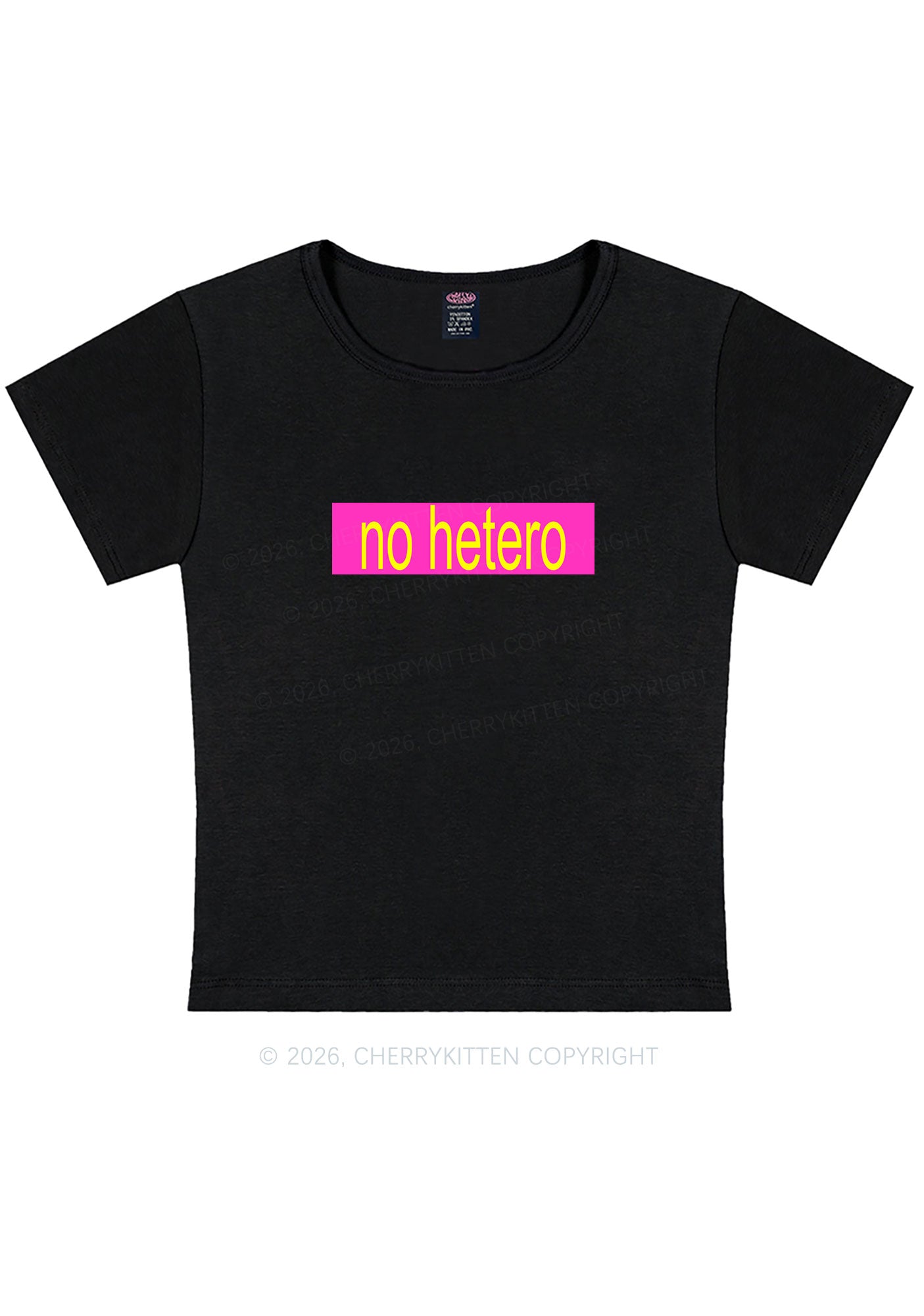 No Hetero Pride Y2K Baby Tee Cherrykitten