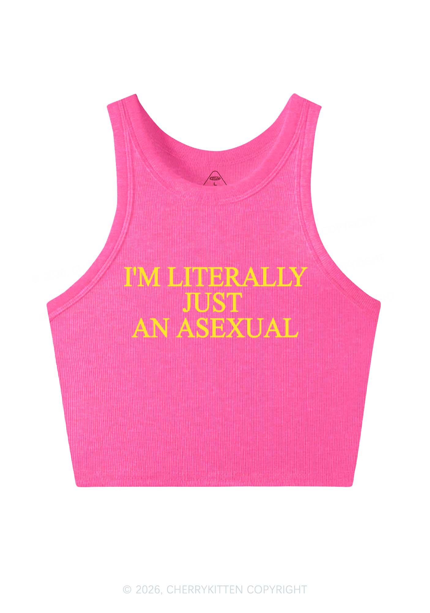 Im Literally Just An Asexual Pride Y2K Crop Tank Top Cherrykitten