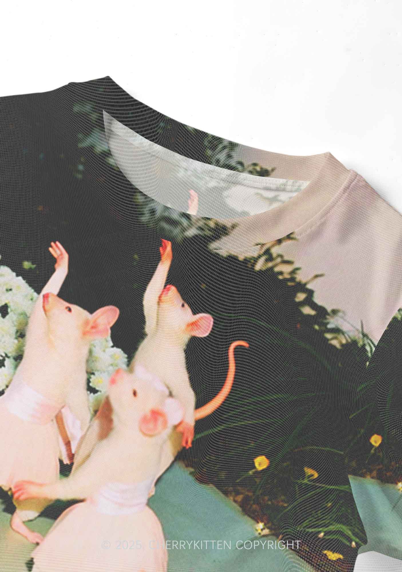 Ballet Rats Y2K Mesh Crop Top Cherrykitten