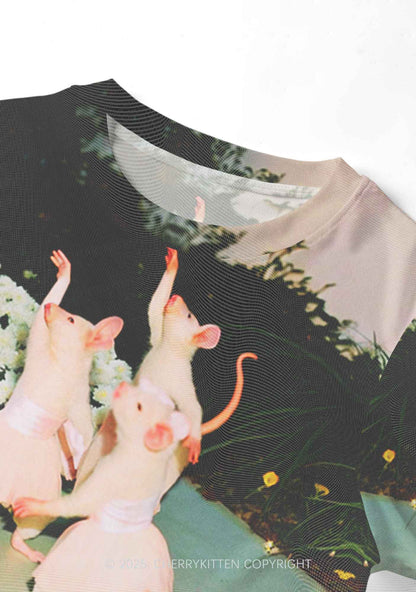 Ballet Rats Y2K Mesh Crop Top Cherrykitten