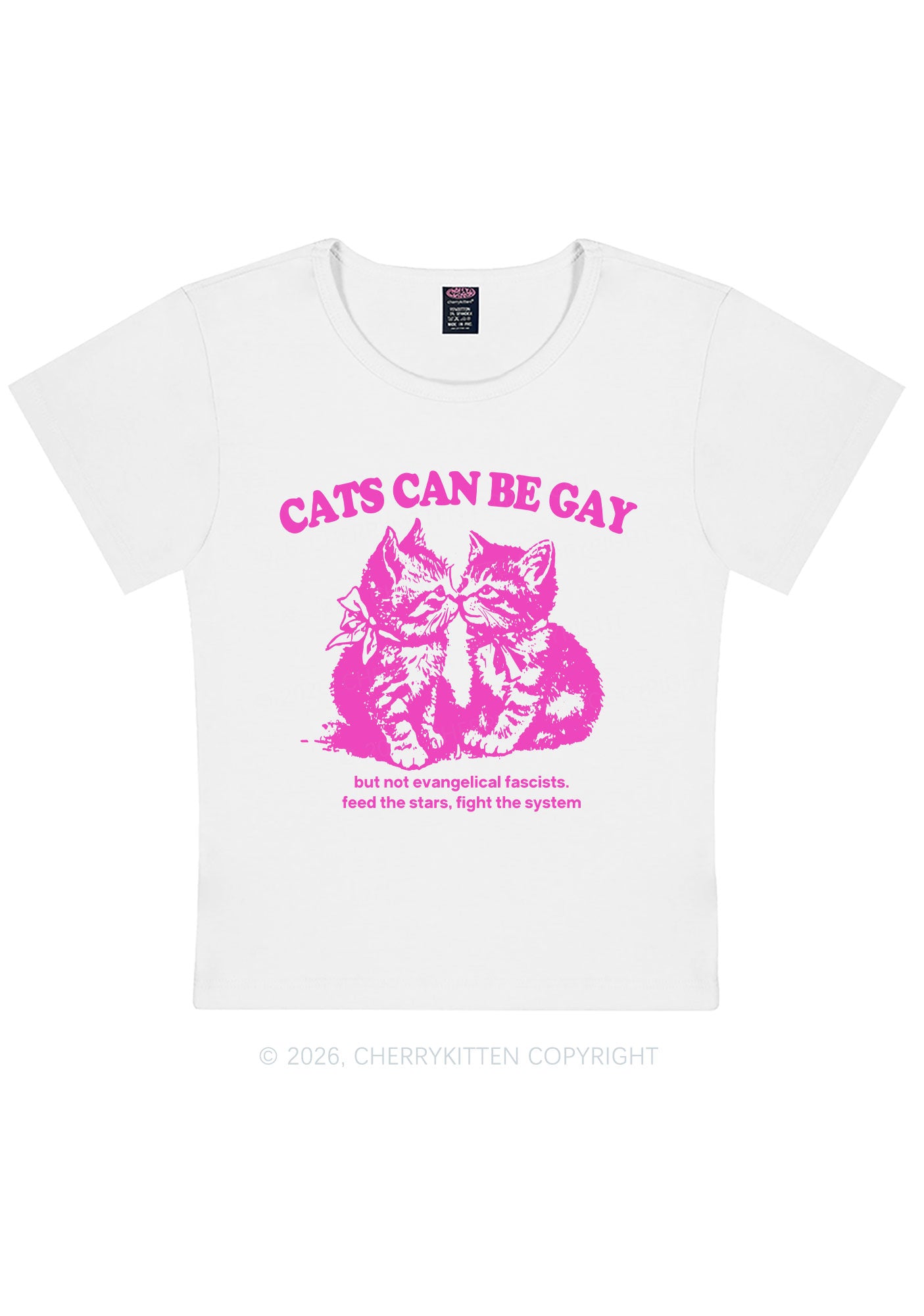 Cat Can Be Gay Pride Y2K Baby Tee Cherrykitten