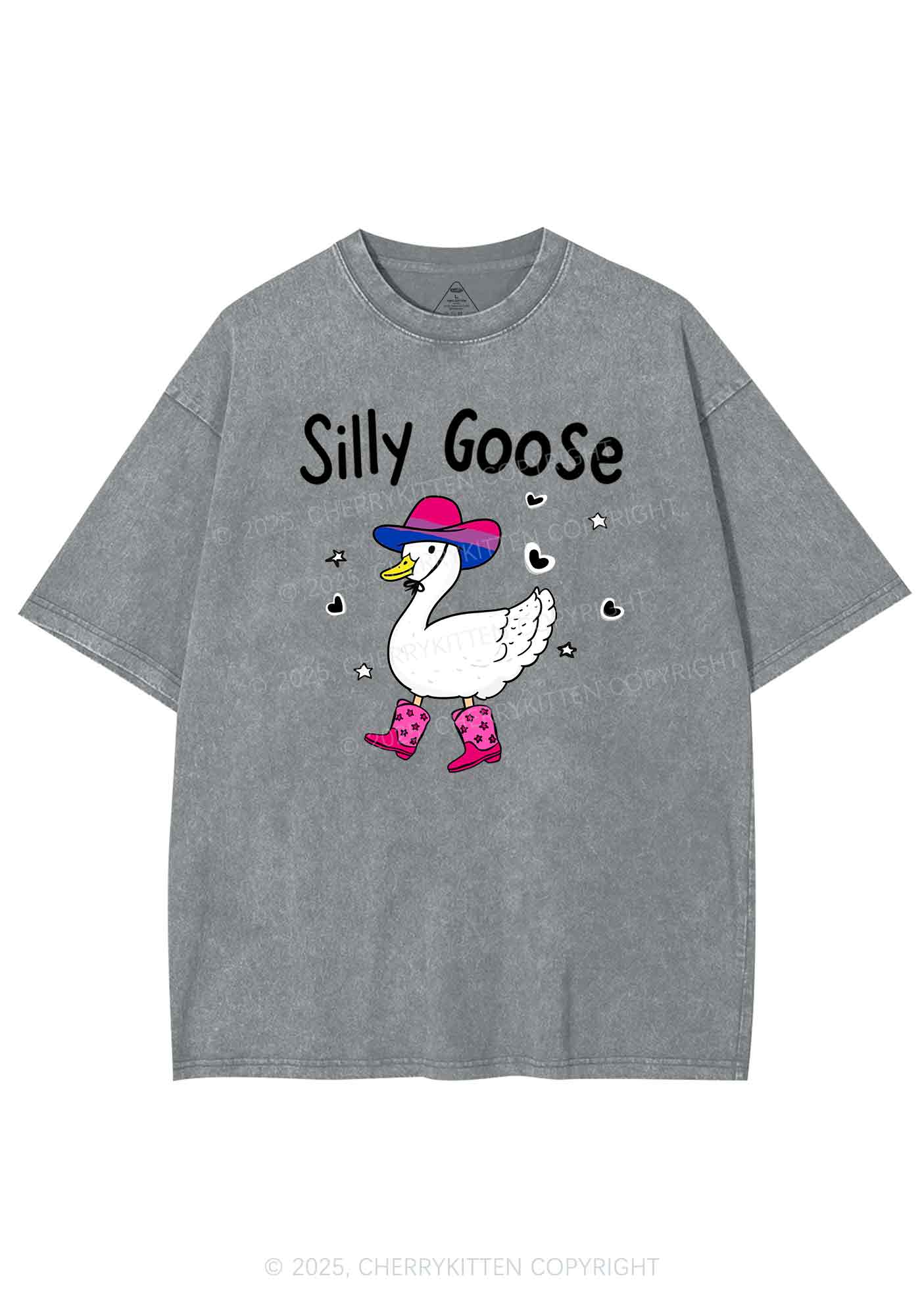 Silly Goose Bisexual Pride Y2K Shirts Washed Tee Cherrykitten