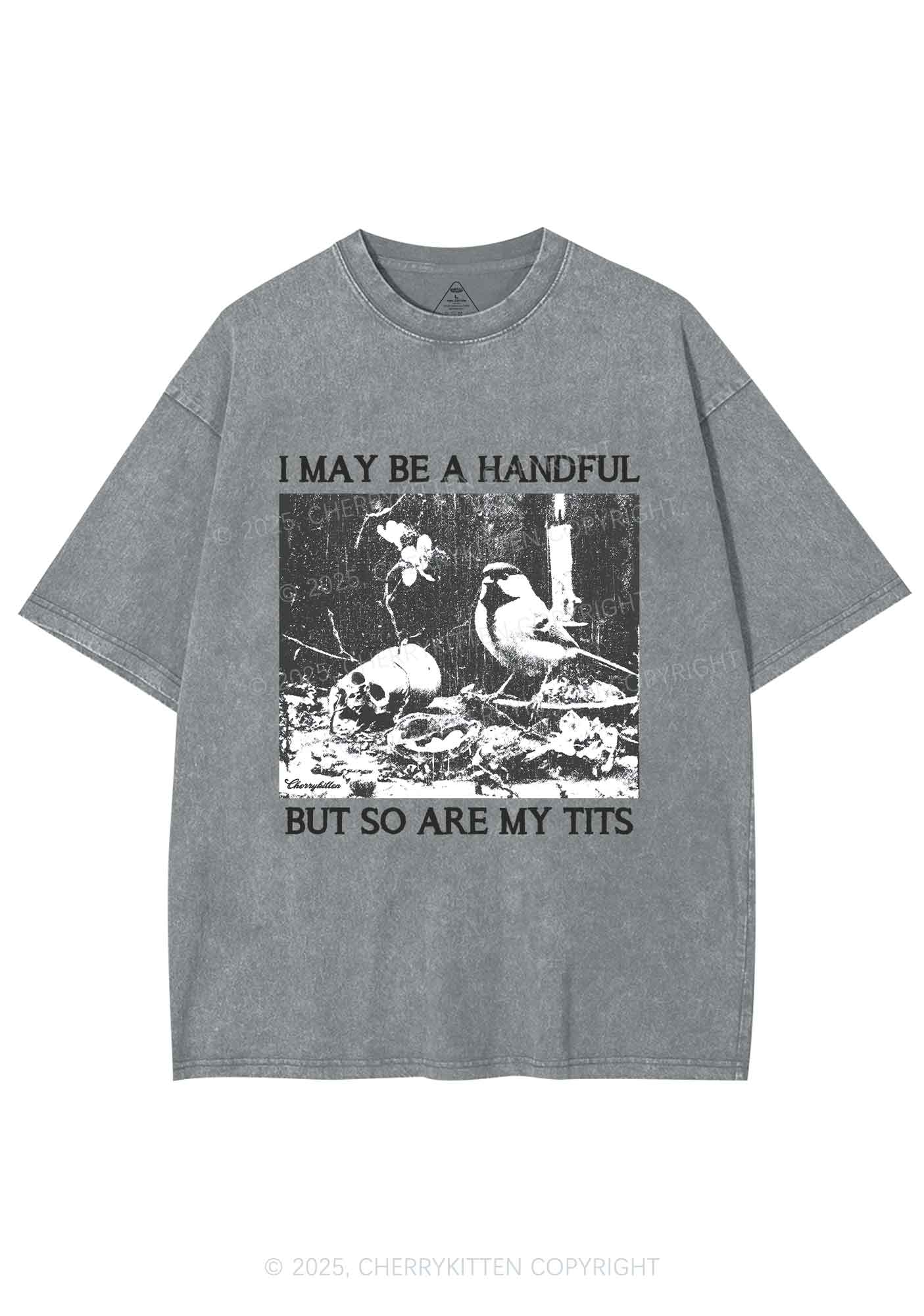 Halloween I May Be A Handful Y2K Shirts Washed Tee Cherrykitten