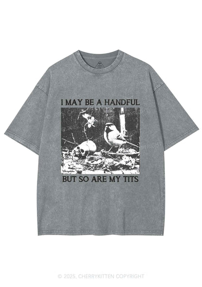 Halloween I May Be A Handful Y2K Shirts Washed Tee Cherrykitten