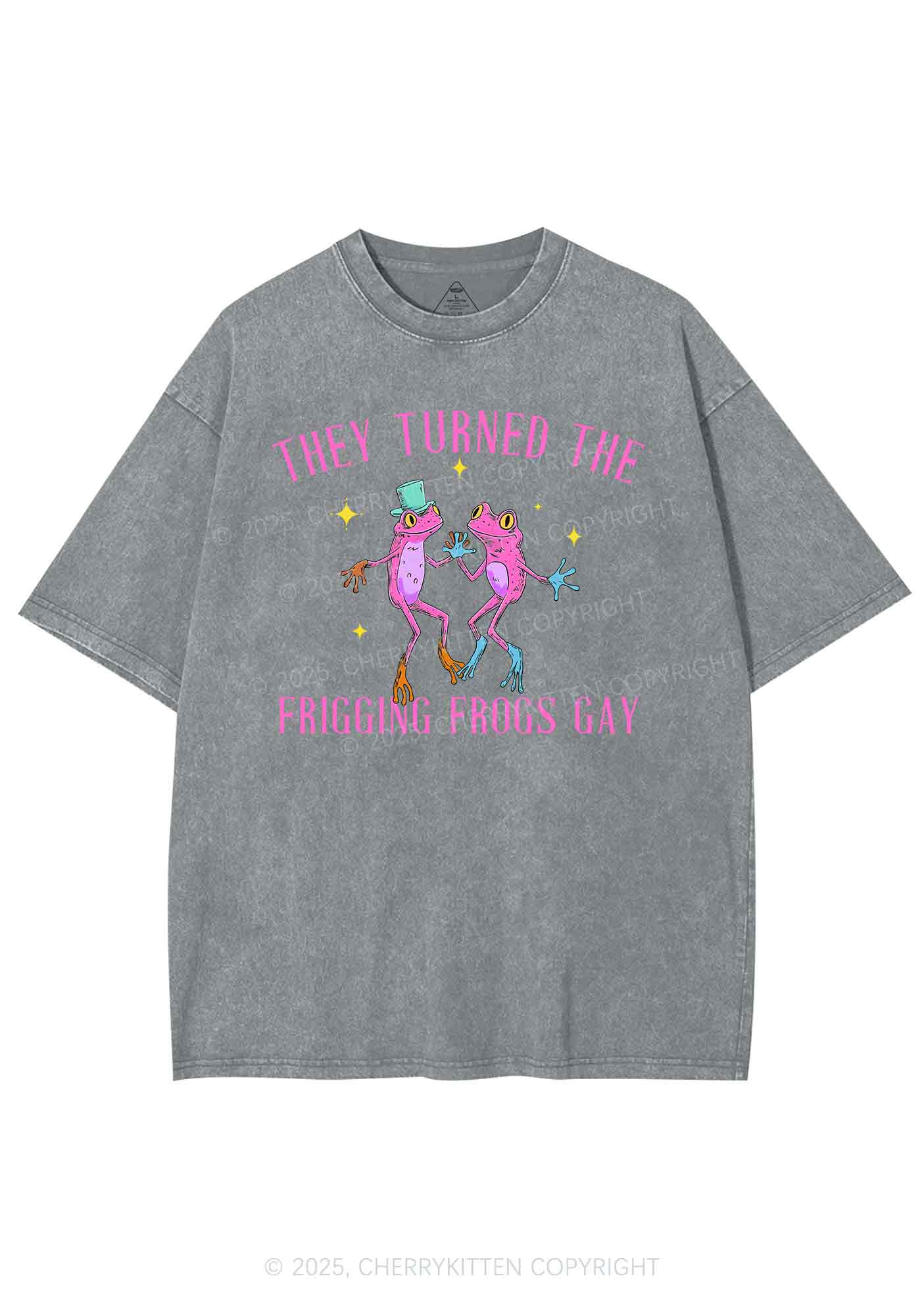 Frogs Gay Pride Y2K Shirts Washed Tee Cherrykitten