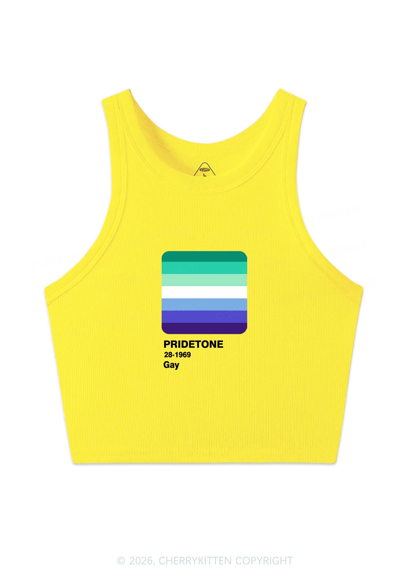 Pridetone Gay Pride Y2K Crop Tank Top Cherrykitten