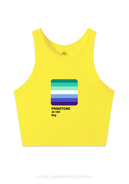 Pridetone Gay Pride Y2K Crop Tank Top Cherrykitten