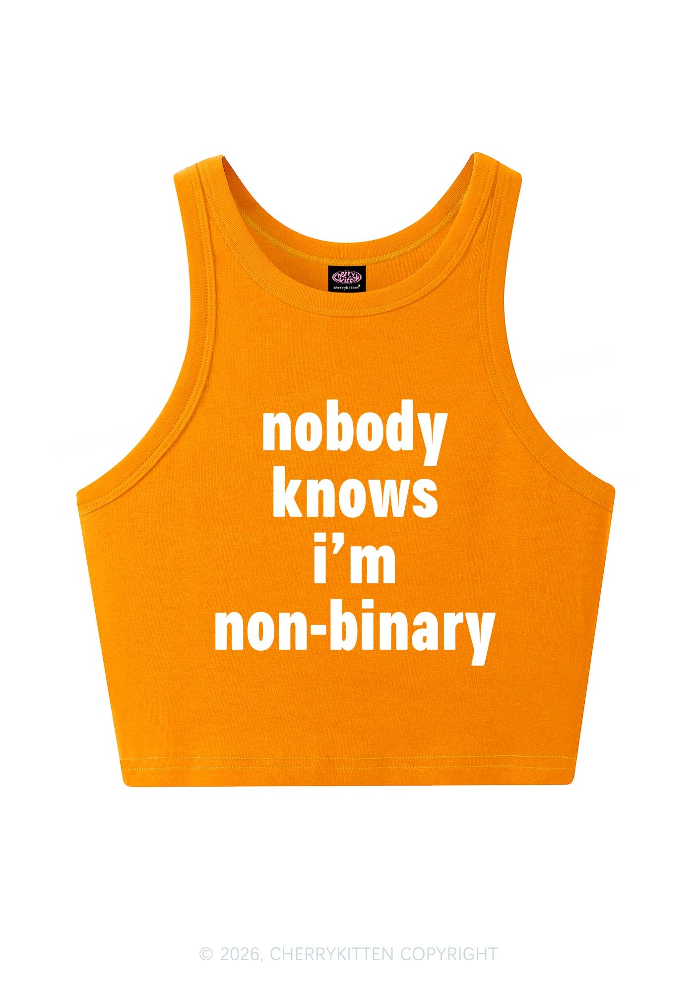 Nobody Knows Im Nonbinary Pride Y2K Crop Tank Top Cherrykitten