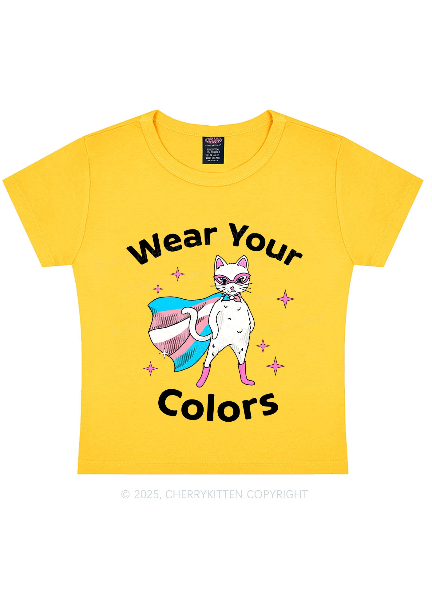 Transgender Flag Cat Pride Y2K Baby Tee Cherrykitten