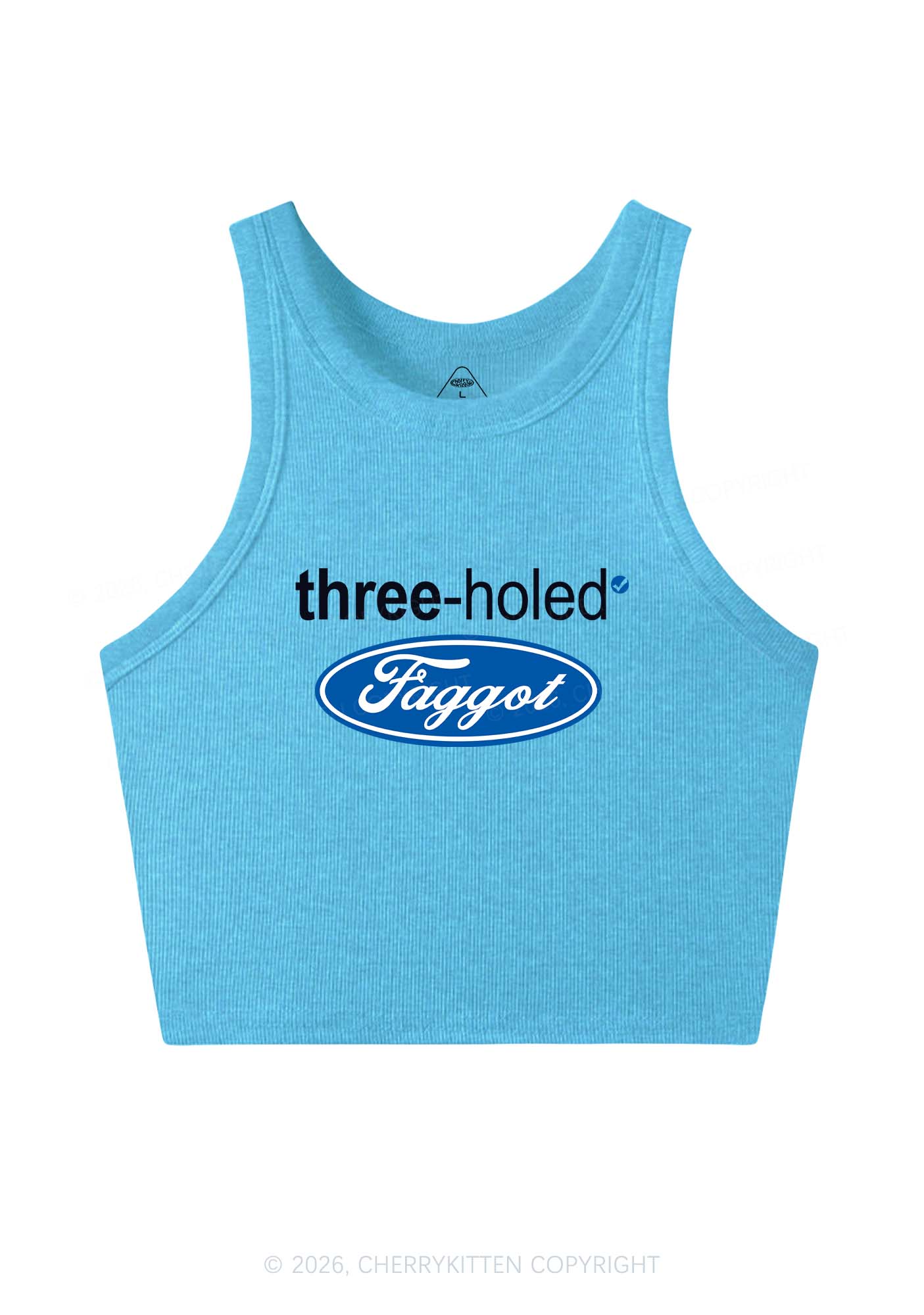 Three Holed Faggot Pride Y2K Crop Tank Top Cherrykitten