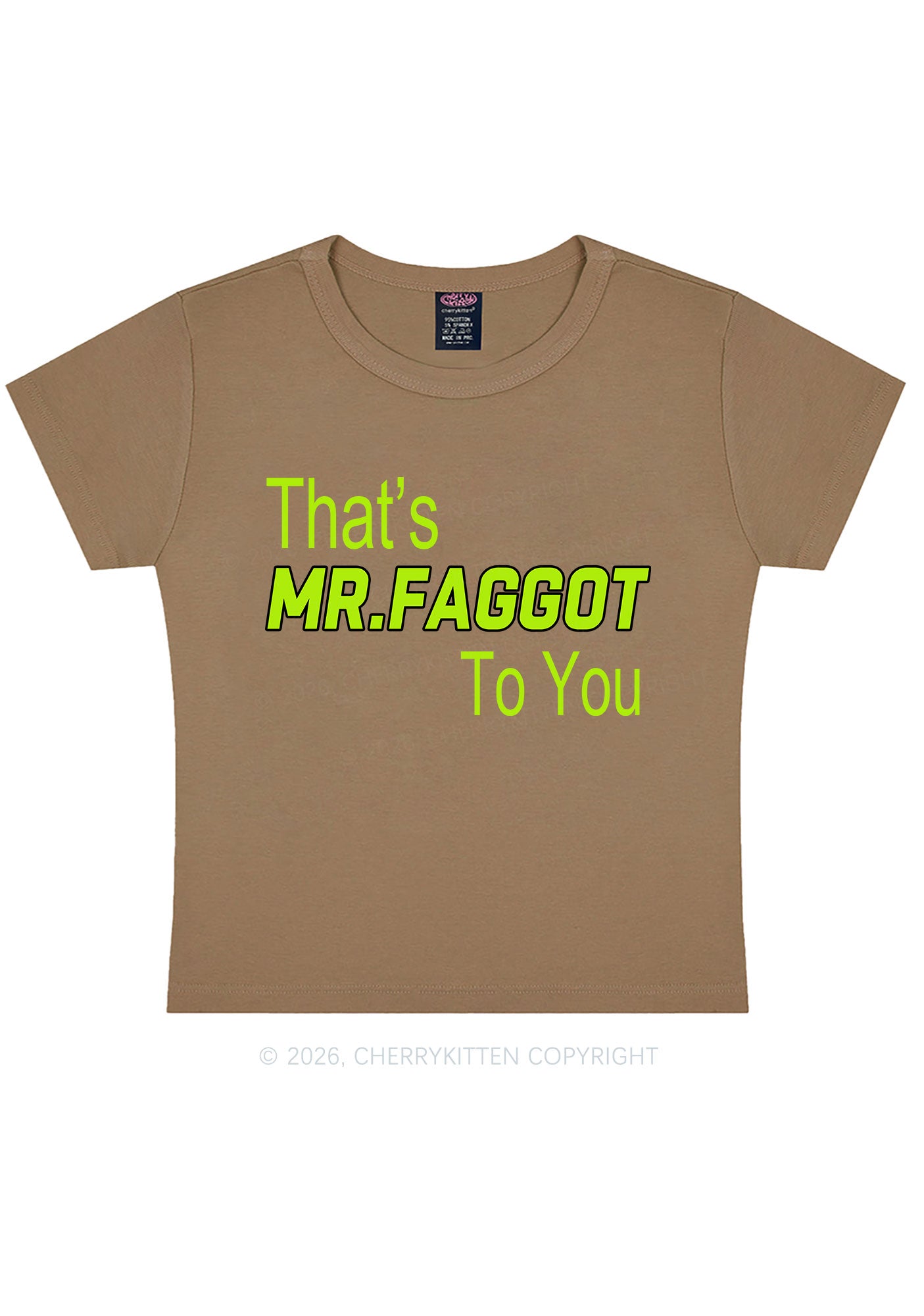 Thats Mr Faggot To You Pride Y2K Baby Tee Cherrykitten