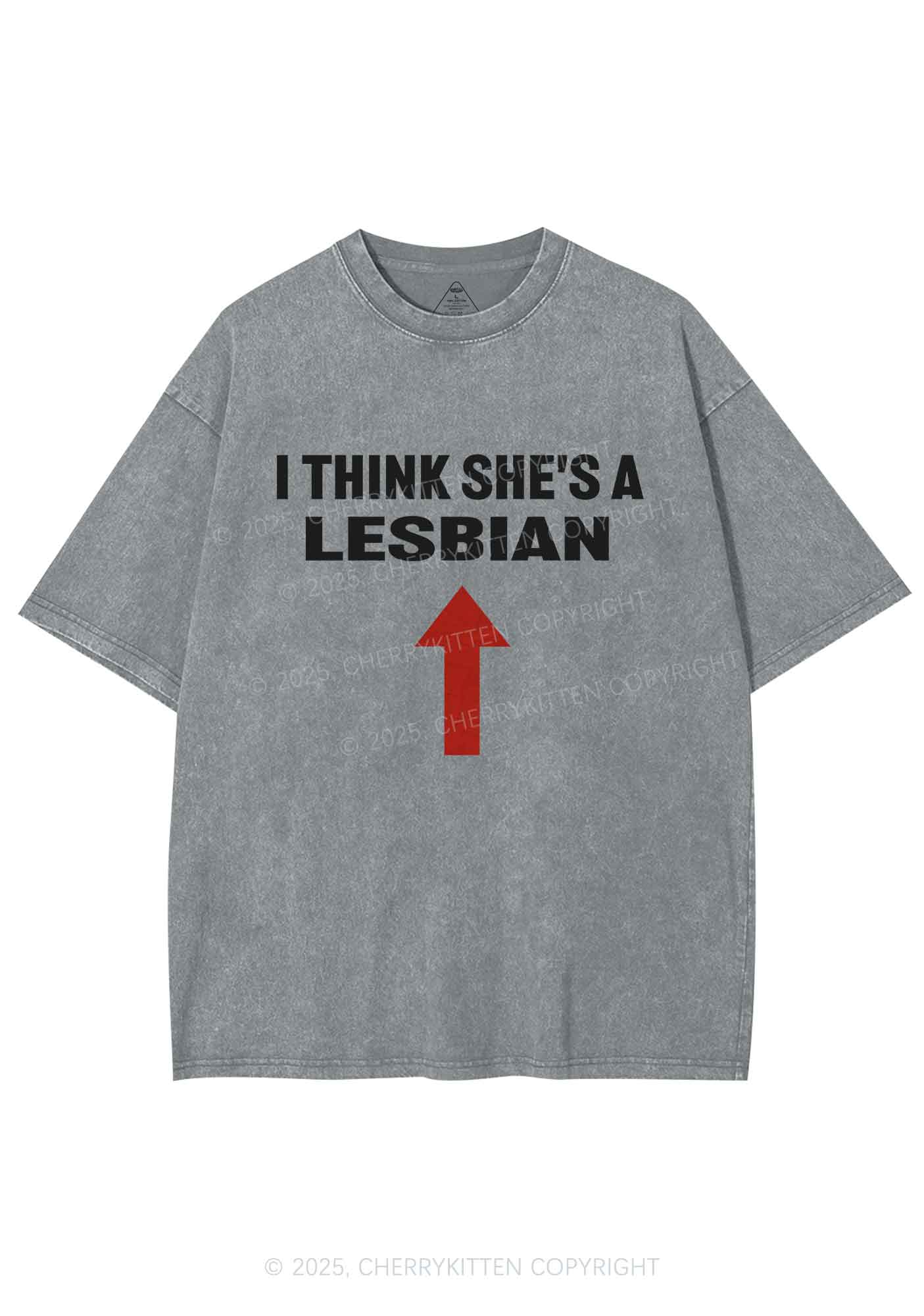 I Think She's A Lesbian Y2K Shirts Washed Tee Cherrykitten