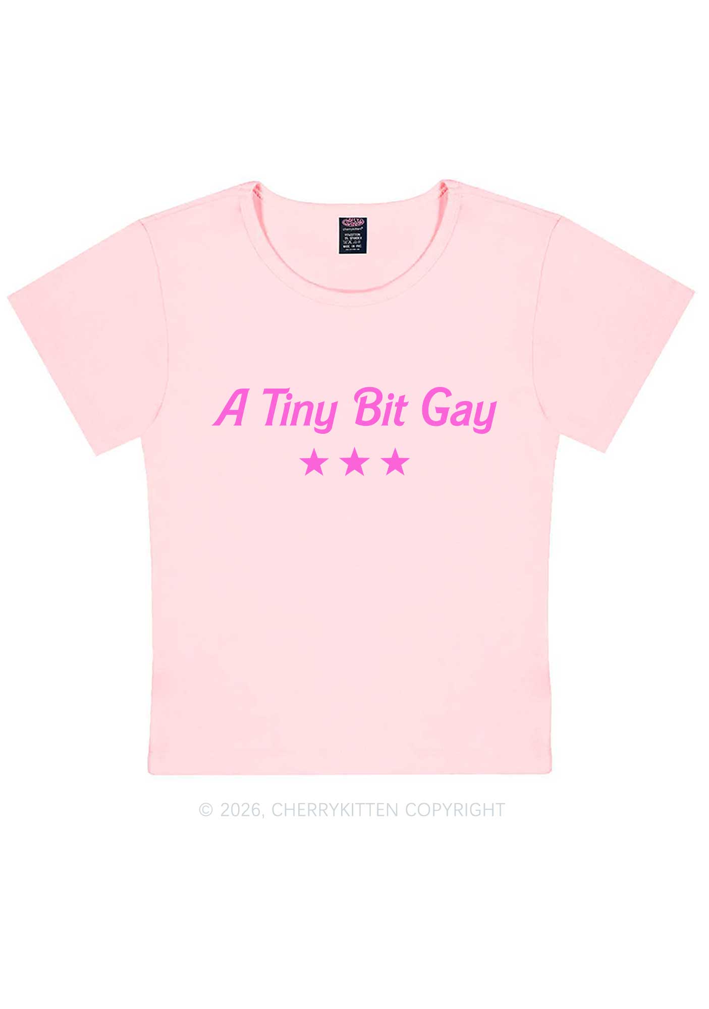 A Tiny Bit Gay Pride Y2K Baby Tee Cherrykitten