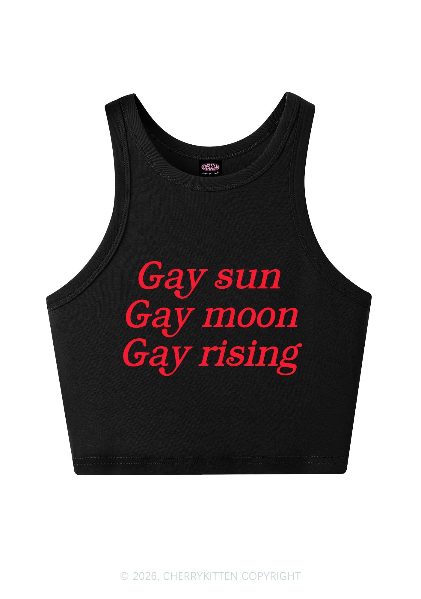 Gay Sun Moon Rising Pride Y2K Crop Tank Top Cherrykitten