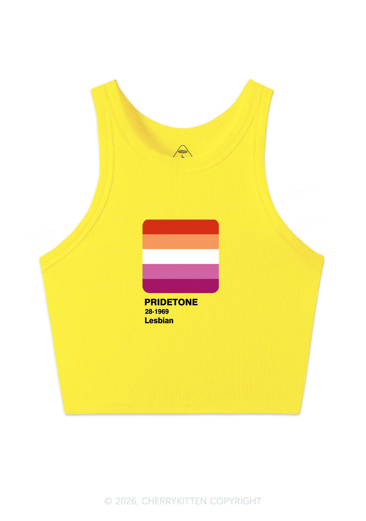 Pridetone Lesbian Pride Y2K Crop Tank Top Cherrykitten