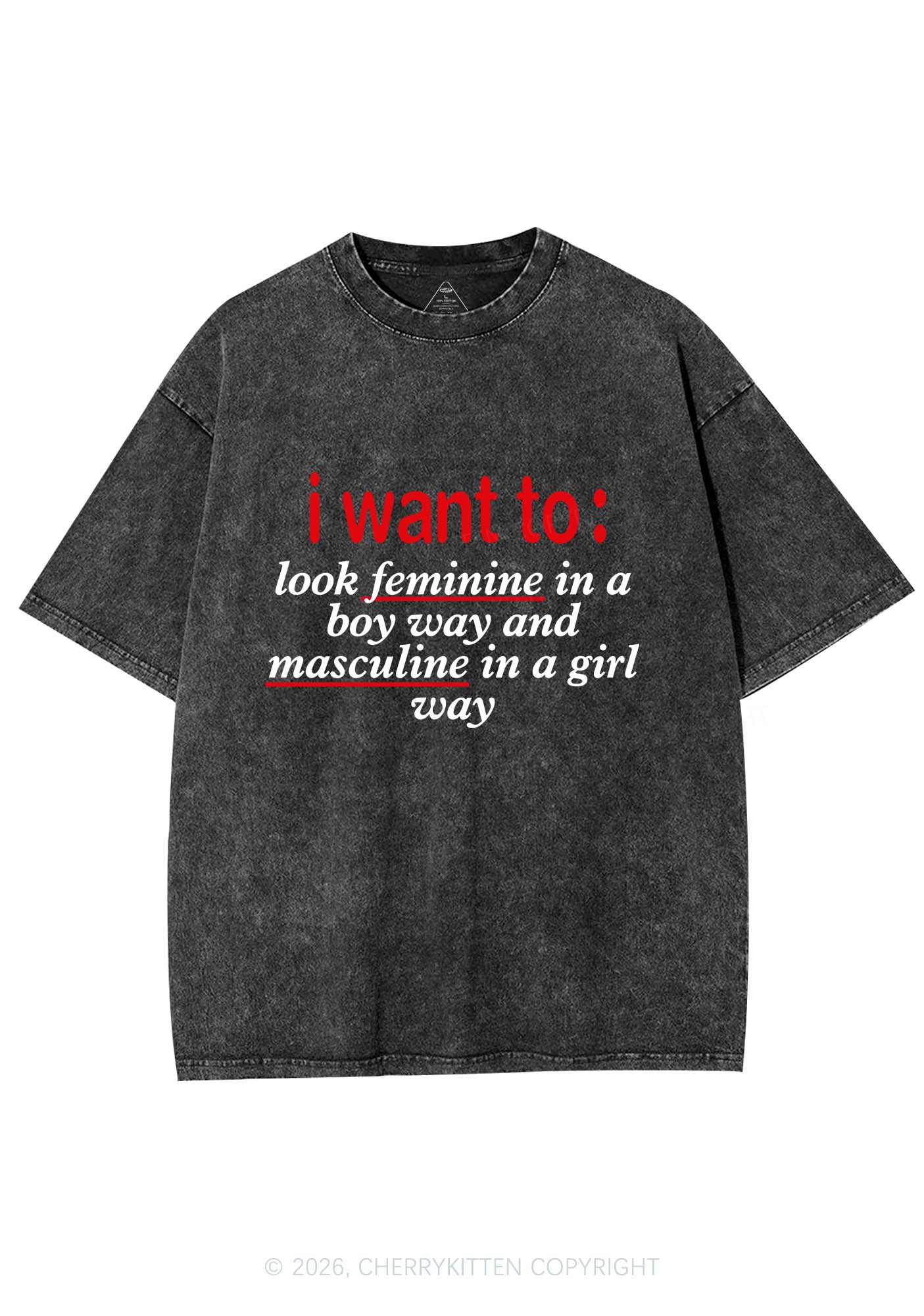 I Want To Feminine Masculine Pride Y2K Shirts Washed Tee Cherrykitten