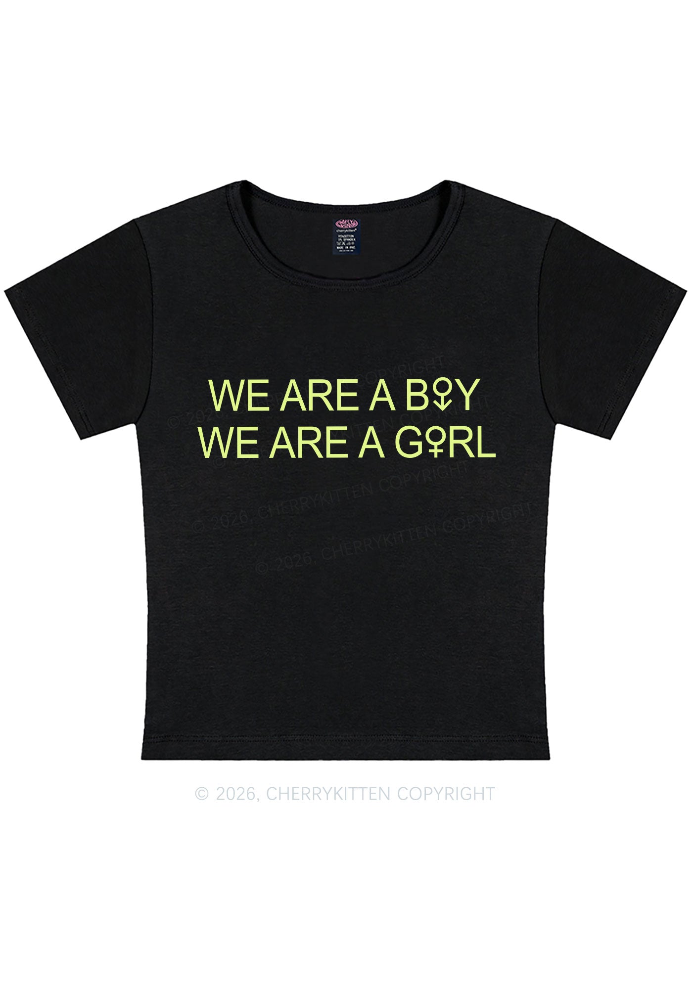 We Are A Boy Pride Y2K Baby Tee Cherrykitten