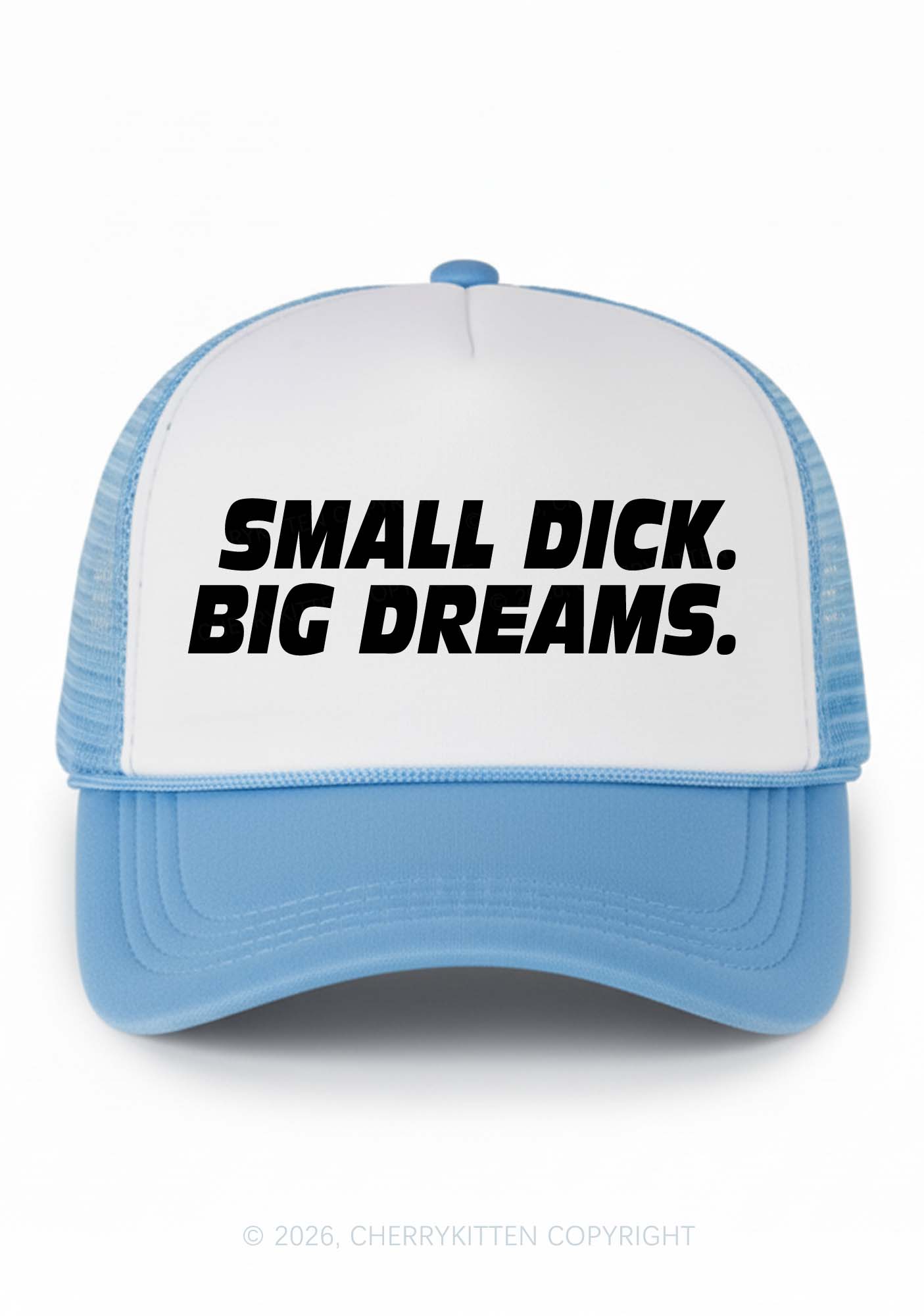 Small Dxxk Big Dreams Y2K Colorblock Trucker Hat Cherrykitten