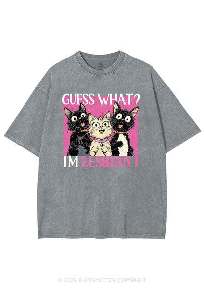 Im Lesbian Cat Pride Y2K Shirts Washed Tee Cherrykitten