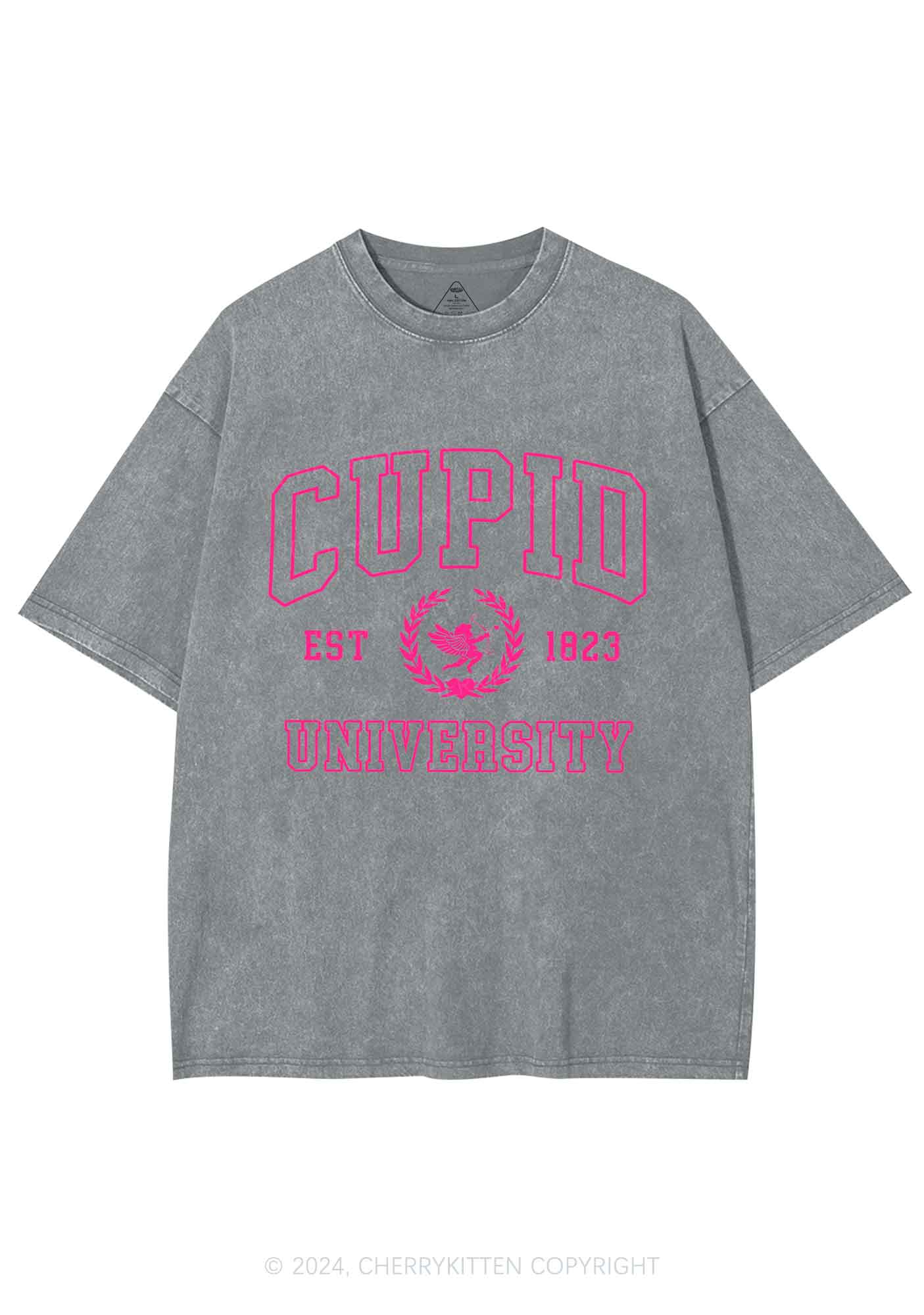 Cupid University Y2K Valentine's Day Washed Tee Cherrykitten