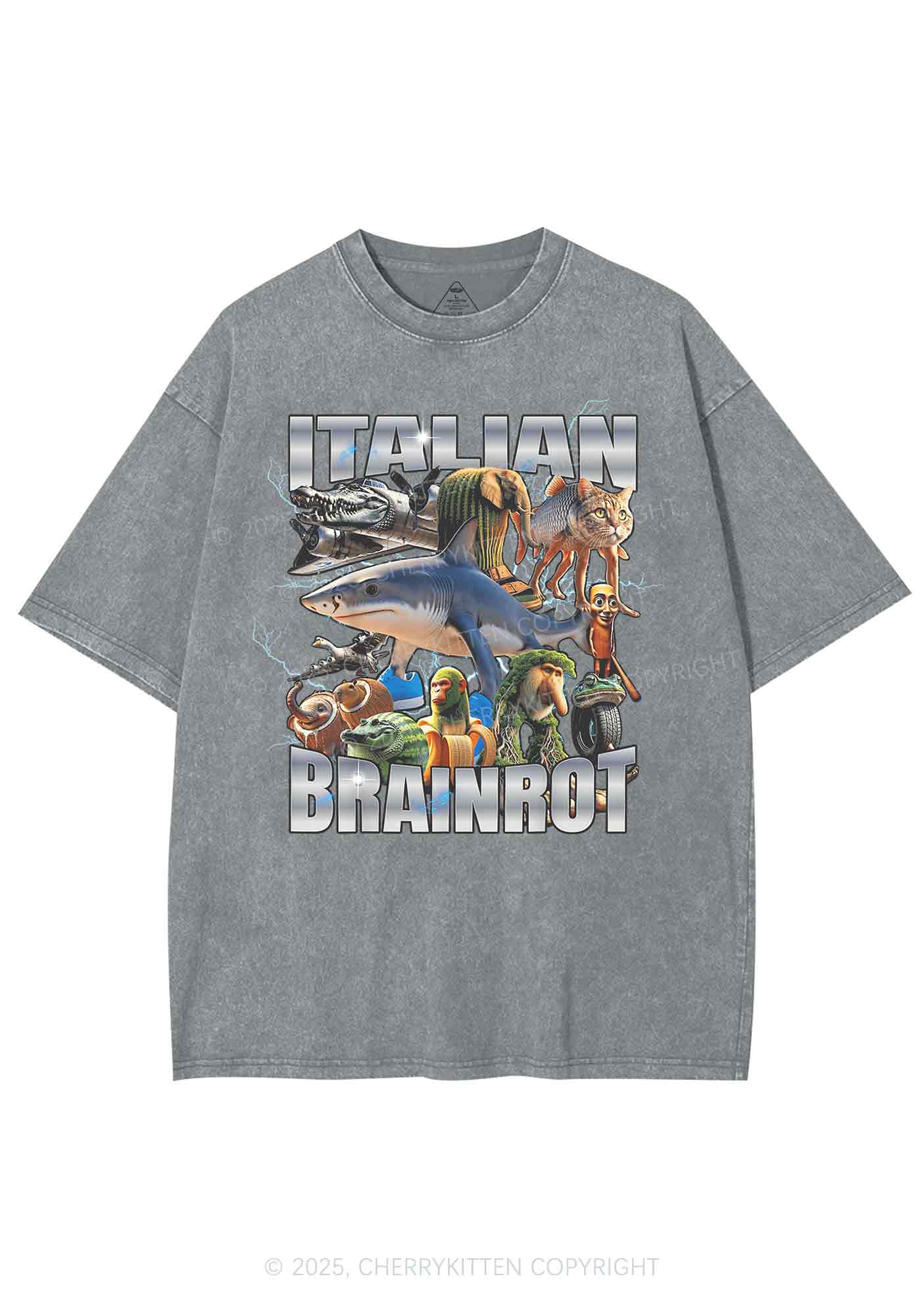 Italian Brainrot Collection Y2K Shirts Washed Tee Cherrykitten