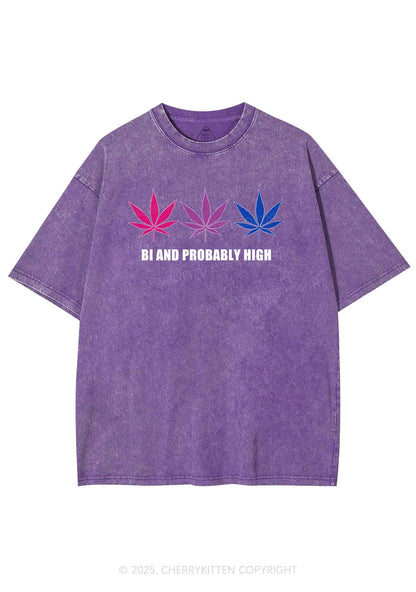 Bi Probably High Pride Y2K Shirts Washed Tee Cherrykitten