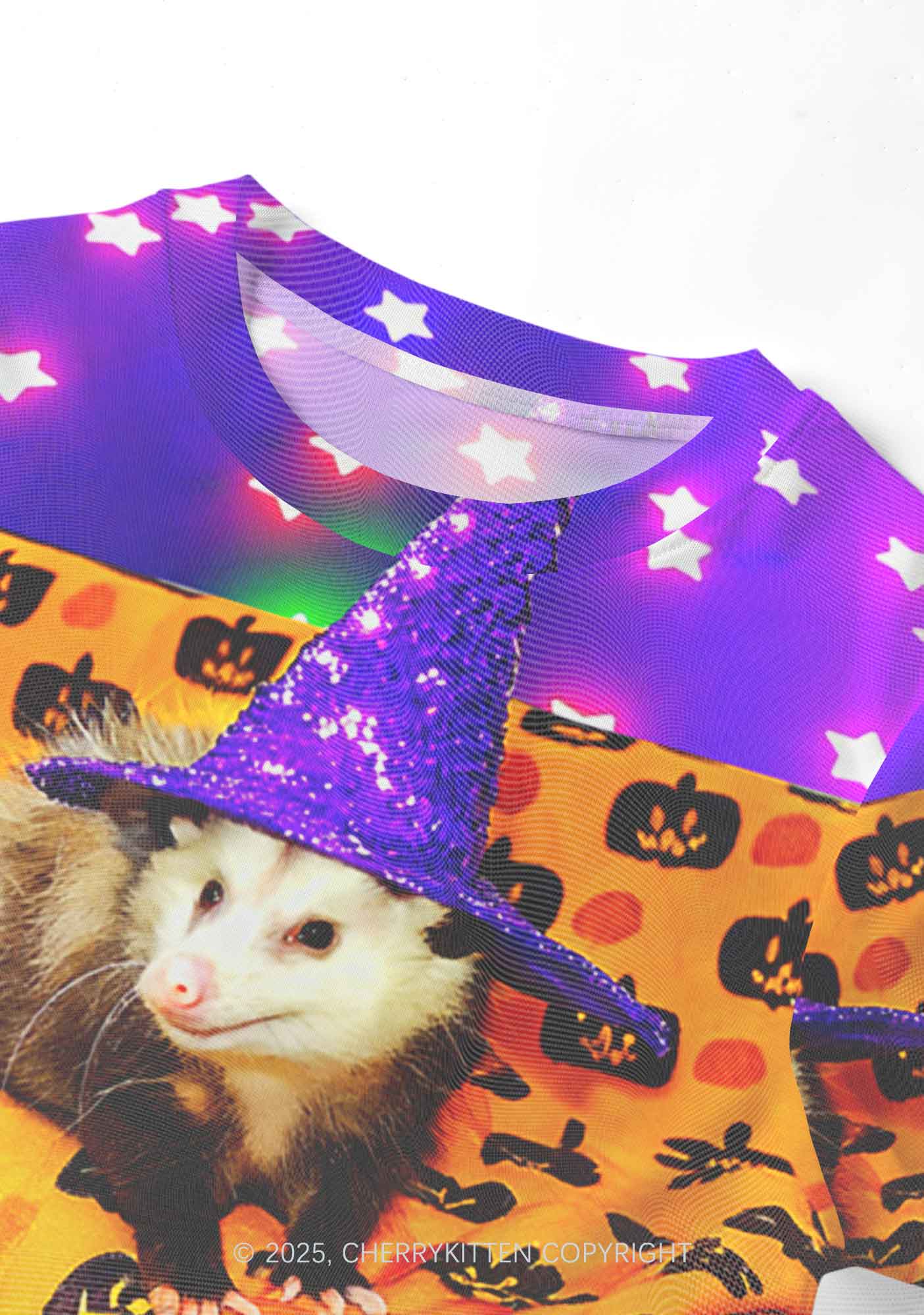 Halloween Sparkle Witch Ratz Y2K Mesh Crop Top Cherrykitten