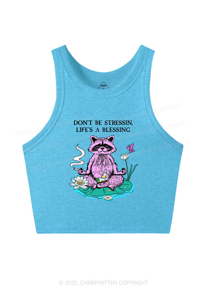 Dont Stress Raccoon Y2K Crop Tank Top Cherrykitten