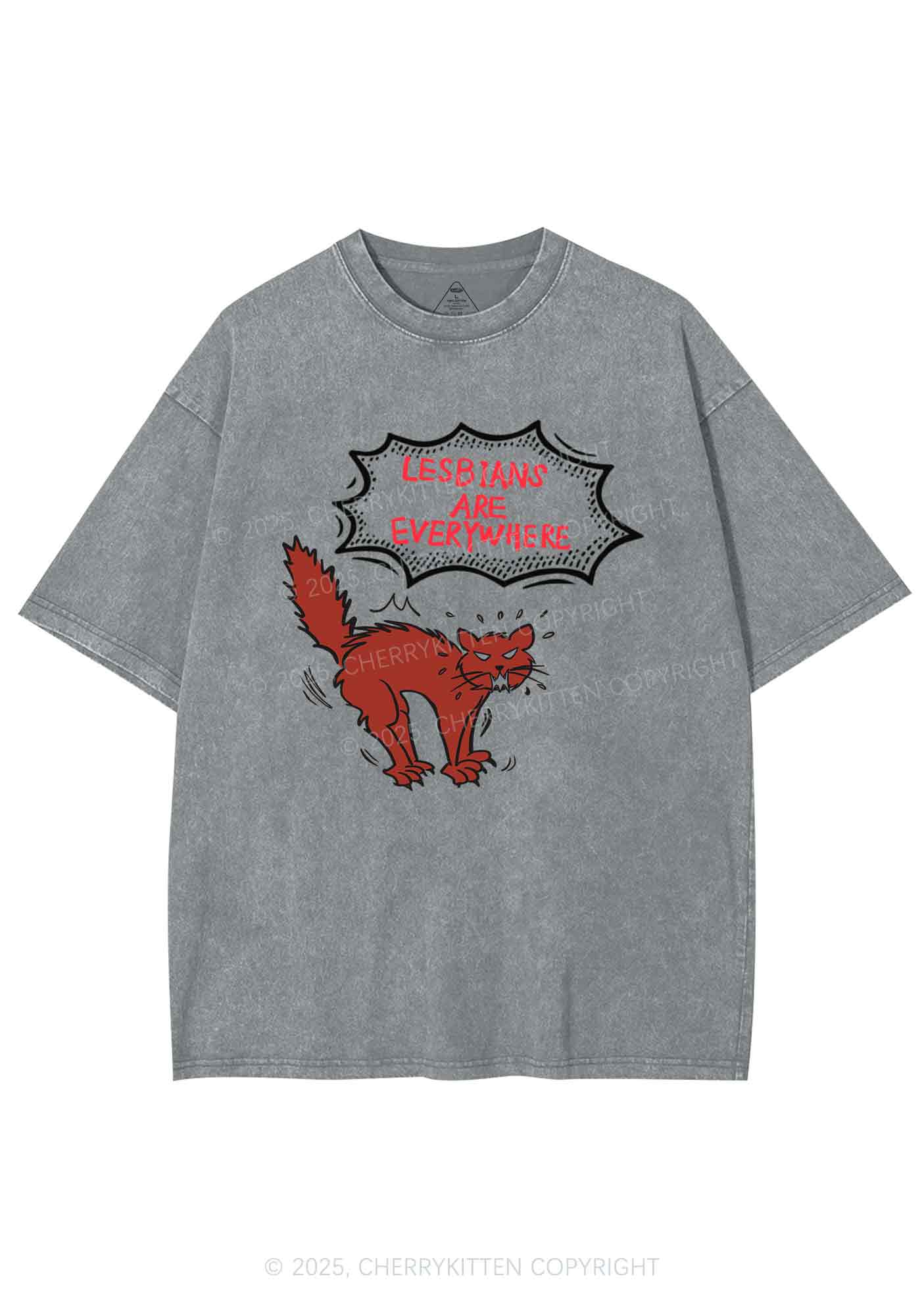 Lesbians Are Everywhere Y2K Shirts Washed Tee Cherrykitten