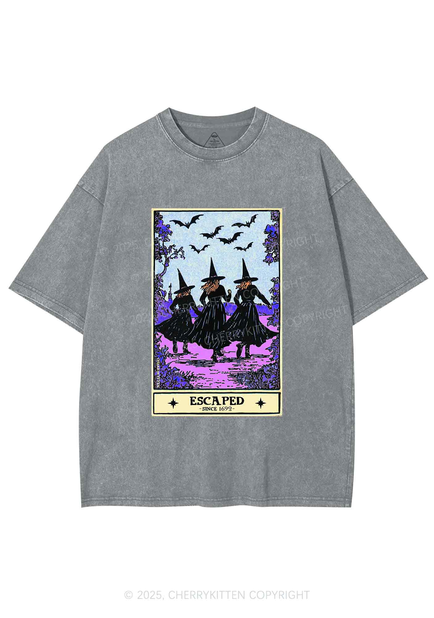 Halloween Escaped Witch Y2K Shirts Washed Tee Cherrykitten