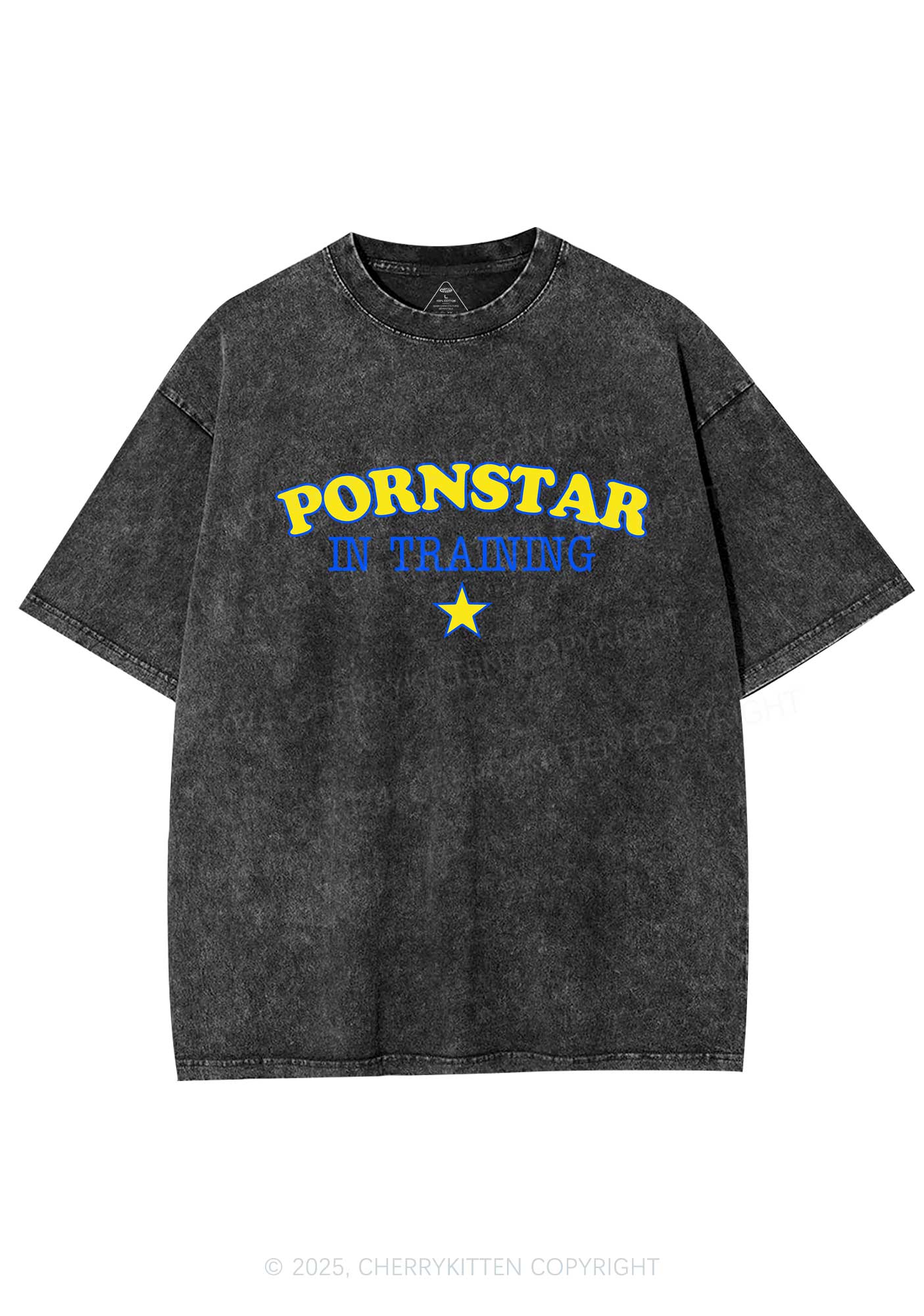 Pxrnstar In Training Y2K Shirts Washed Tee Cherrykitten