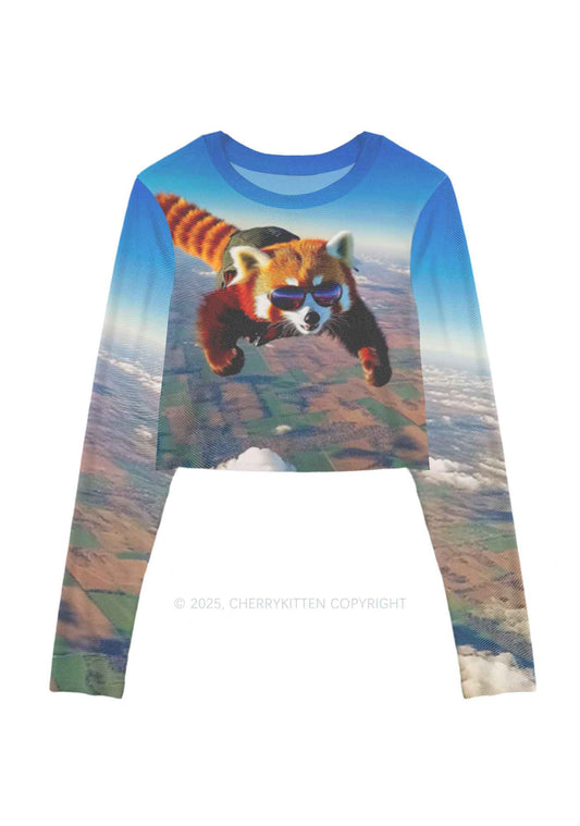 Flying Cool Raccoon Y2K Mesh Long Sleeve Crop Top Cherrykitten