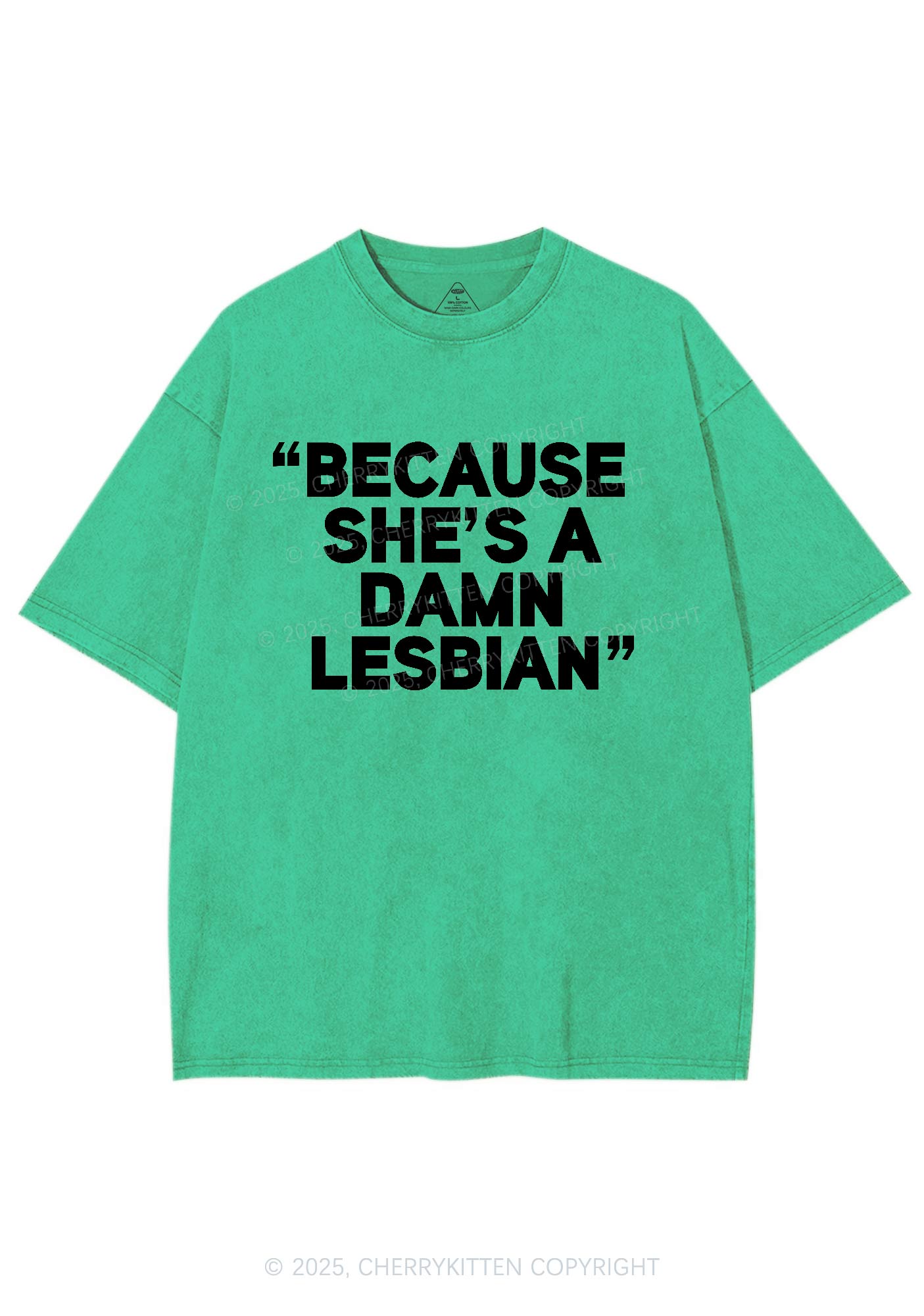 She's A Damn Lesbian Y2K Shirts Washed Tee Cherrykitten