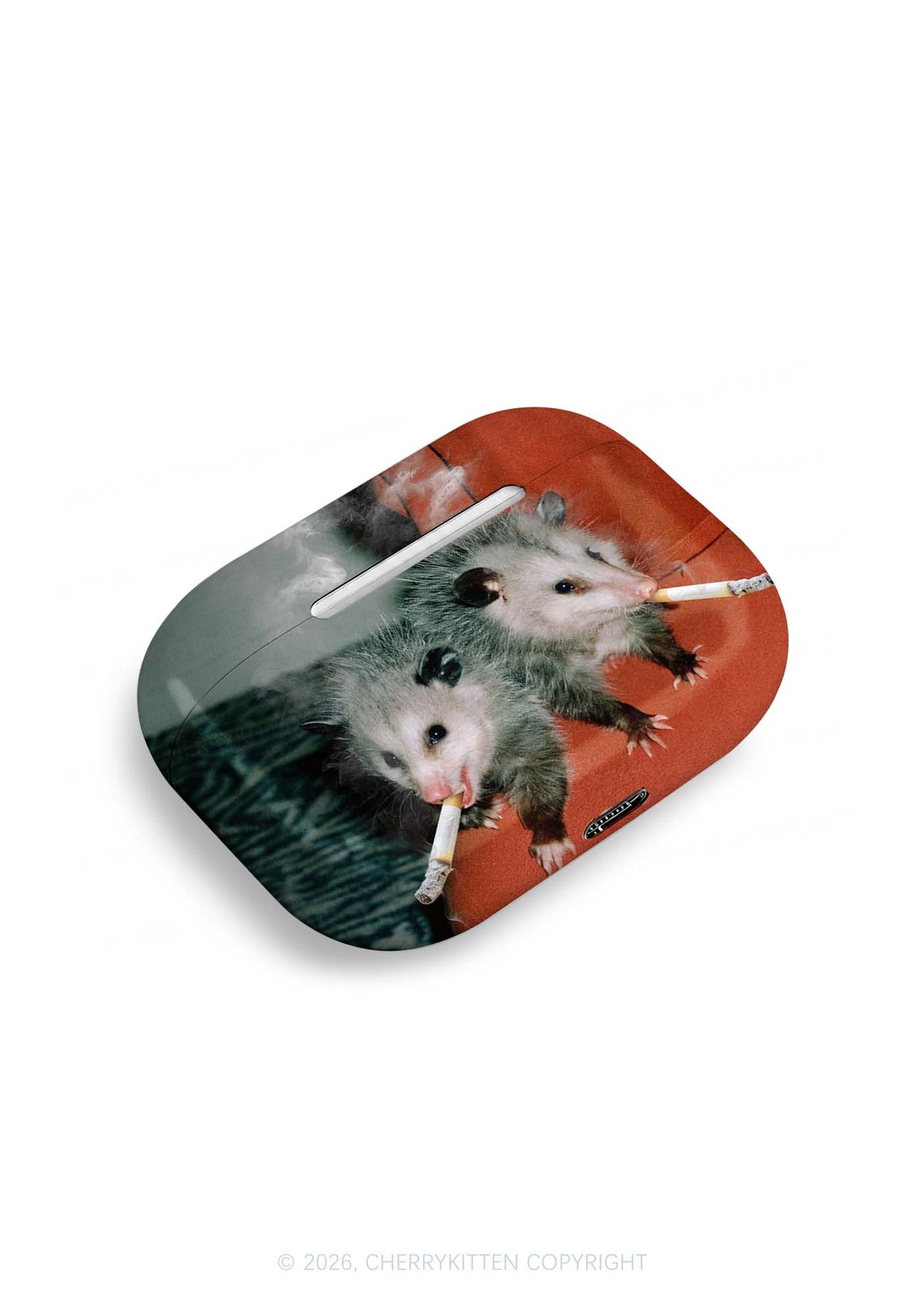 Smoking Badass Possum Y2K Earphone Case Cherrykitten