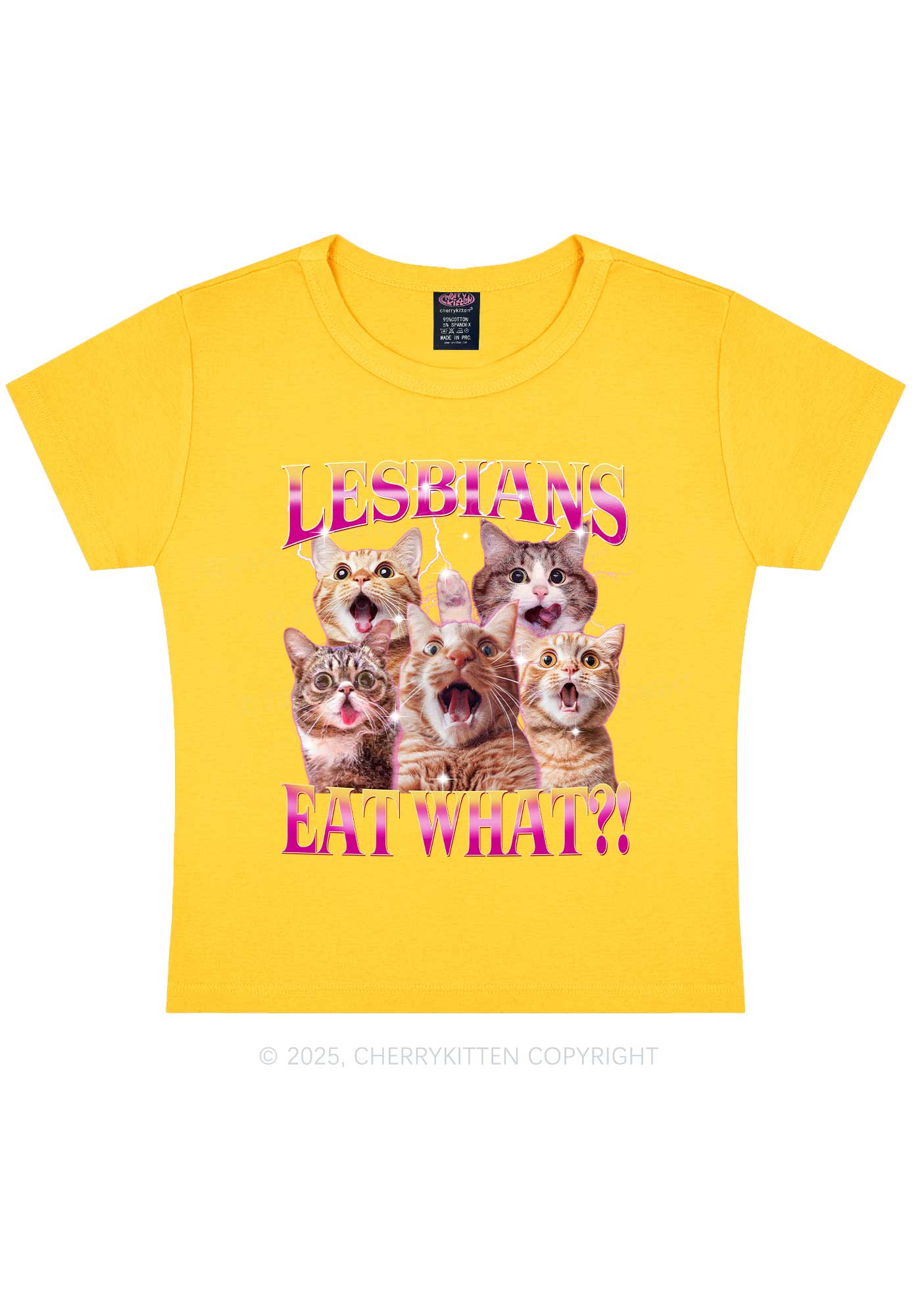 Funny Lesbian Cat Y2K Baby Tee Cherrykitten