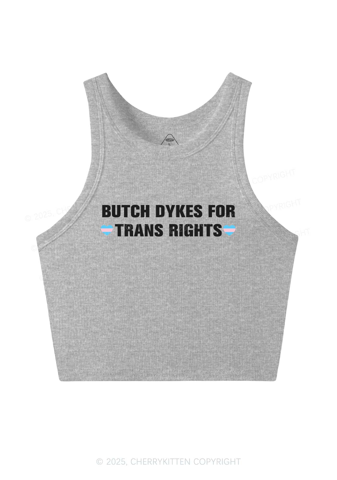 Butch Dykes For Trans Rights Y2K Crop Tank Top Cherrykitten