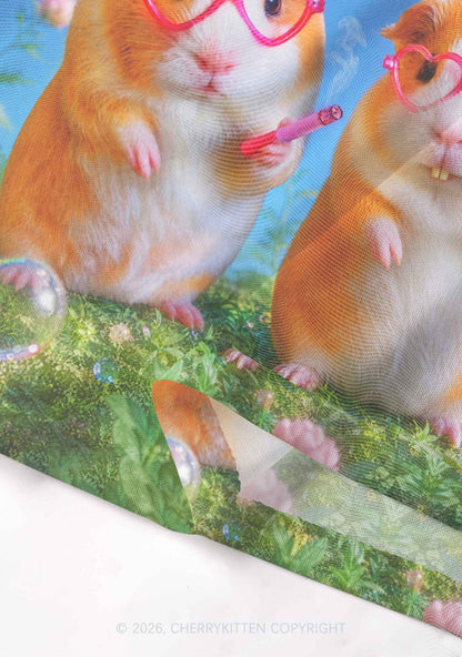 Two Smoking Guinea Pigs Y2K Mesh Crop Top Cherrykitten