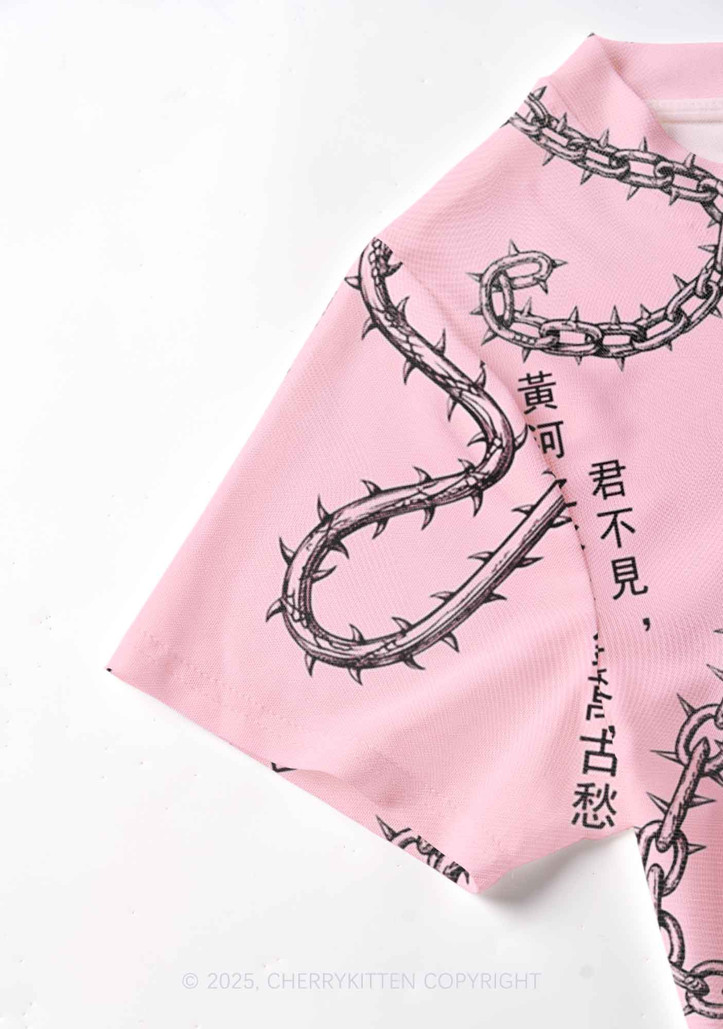 Born To Slay Y2K Mesh Crop Top Cherrykitten