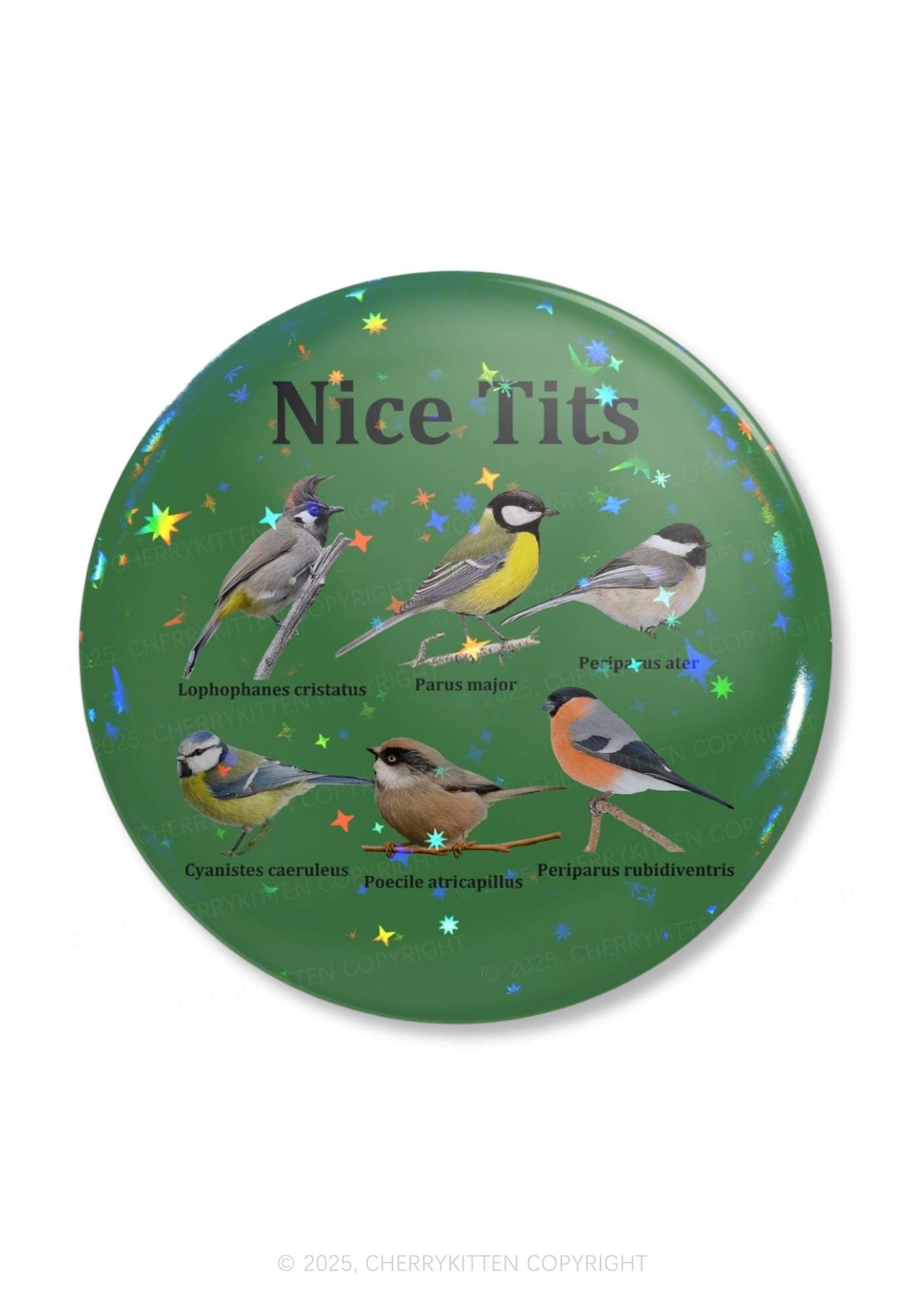 Nice Txts Category 1Pc Y2K Pin Badge Cherrykitten