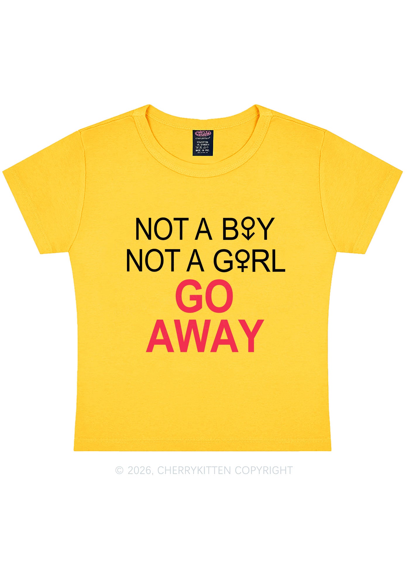 Go Away Pride Y2K Baby Tee Cherrykitten