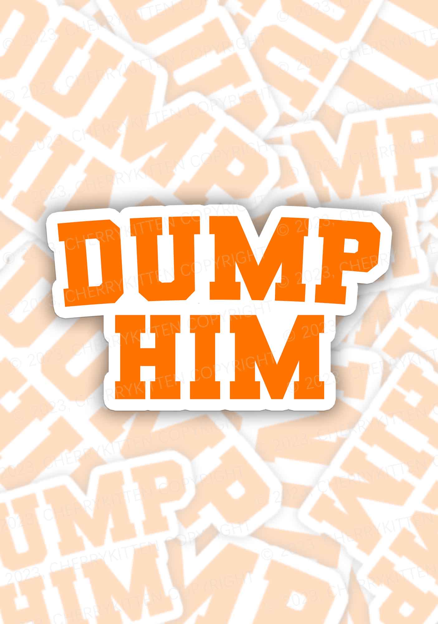 Dump Him 1Pc Y2K Sticker Cherrykitten