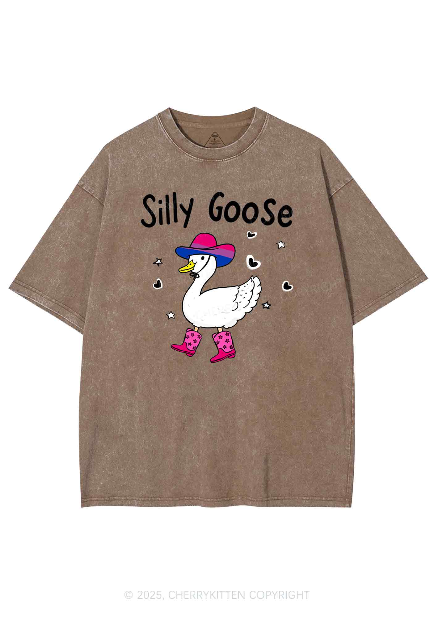 Silly Goose Bisexual Pride Y2K Shirts Washed Tee Cherrykitten