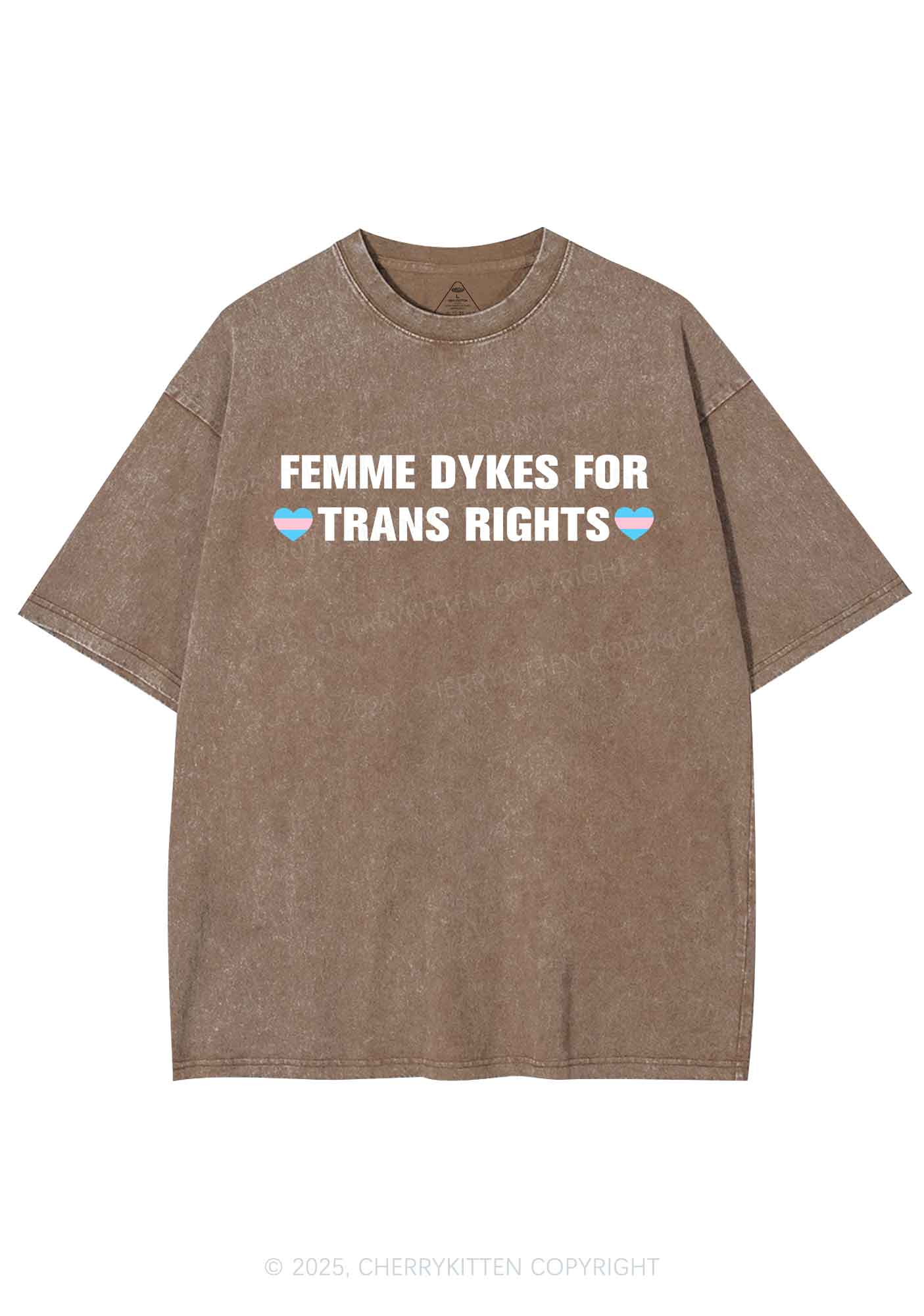 Femme Dykes For Trans Rights Y2K Shirts Washed Tee Cherrykitten