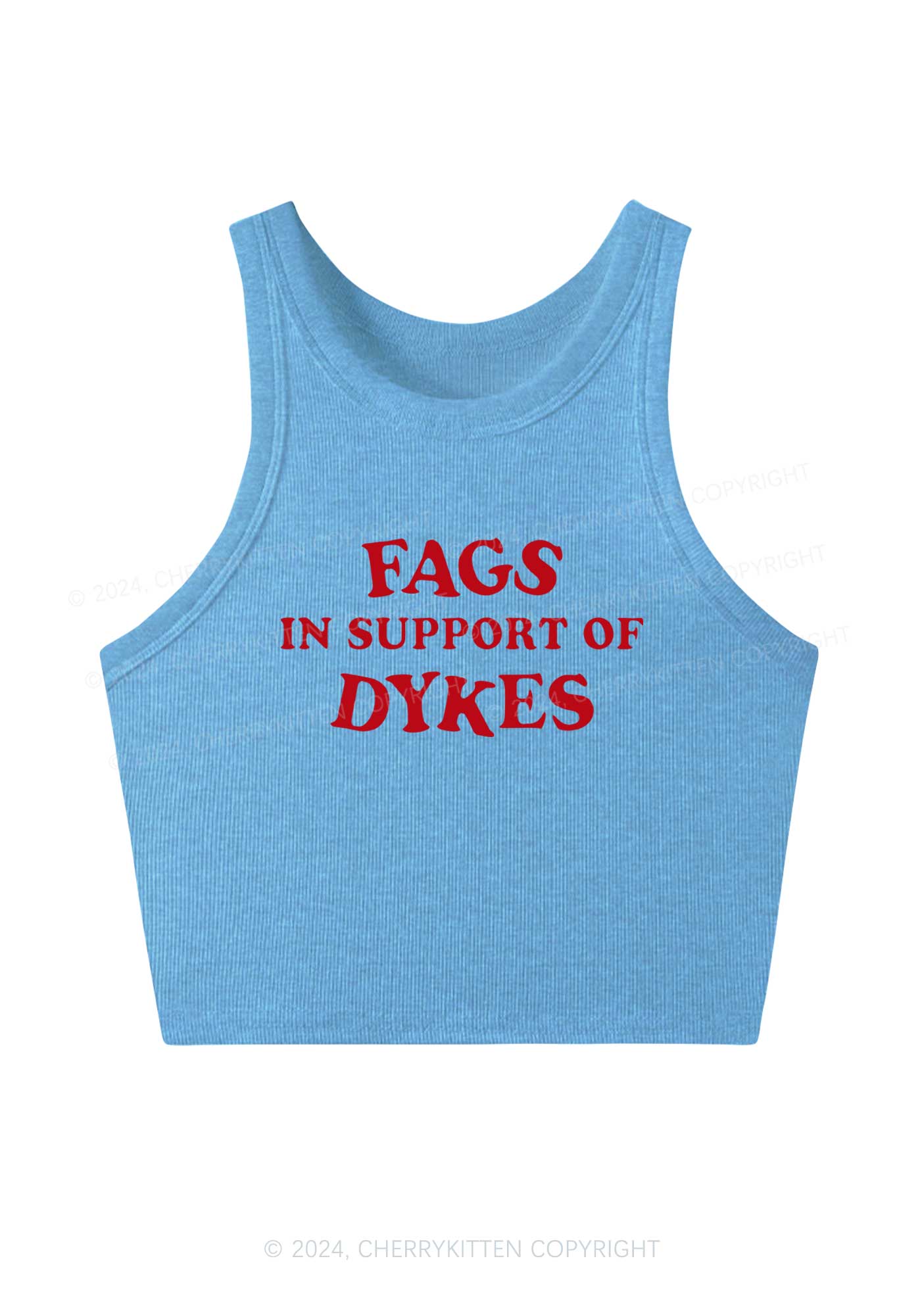 Fags Dykes Y2K Crop Tank Top Cherrykitten