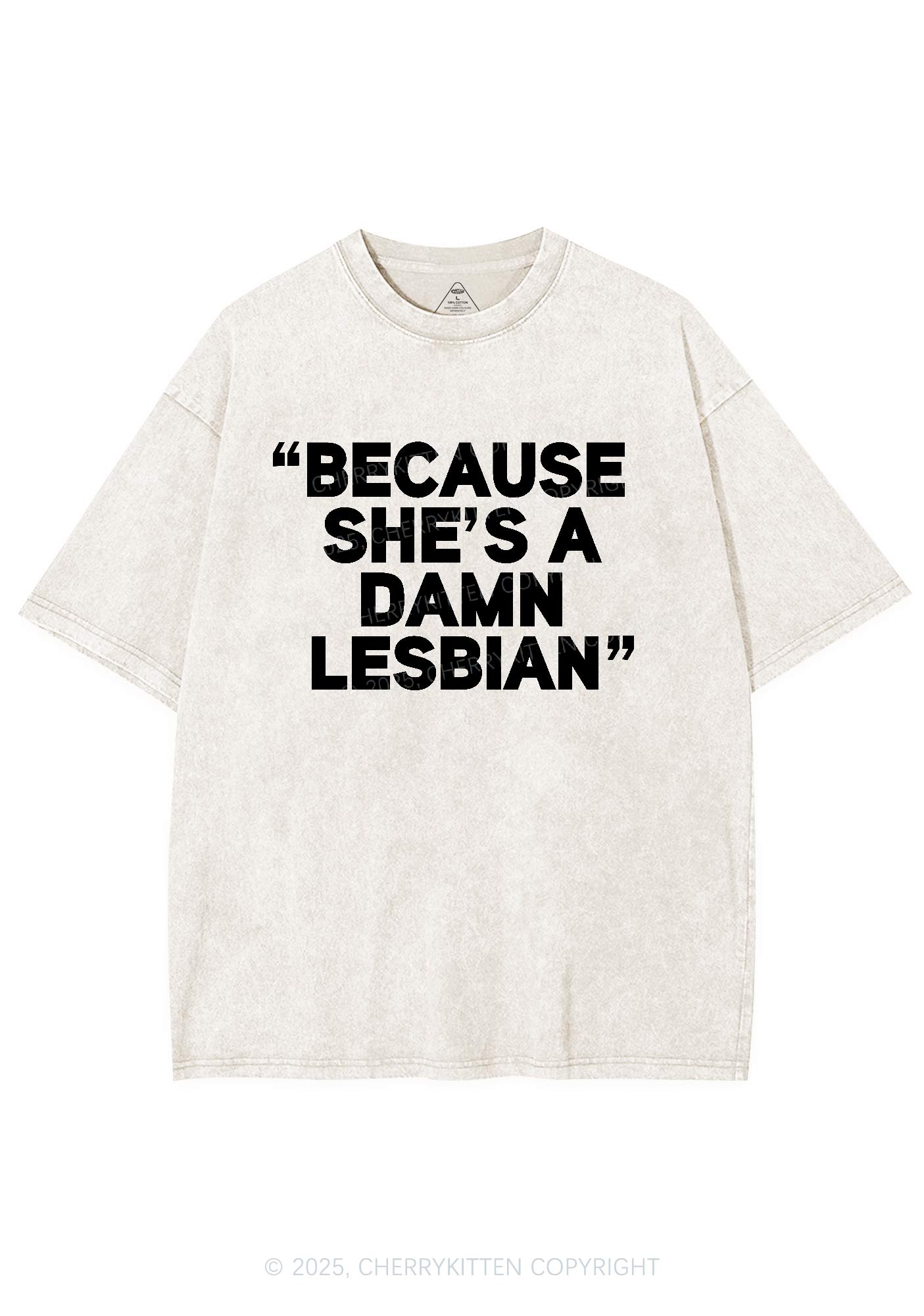 She's A Damn Lesbian Y2K Shirts Washed Tee Cherrykitten