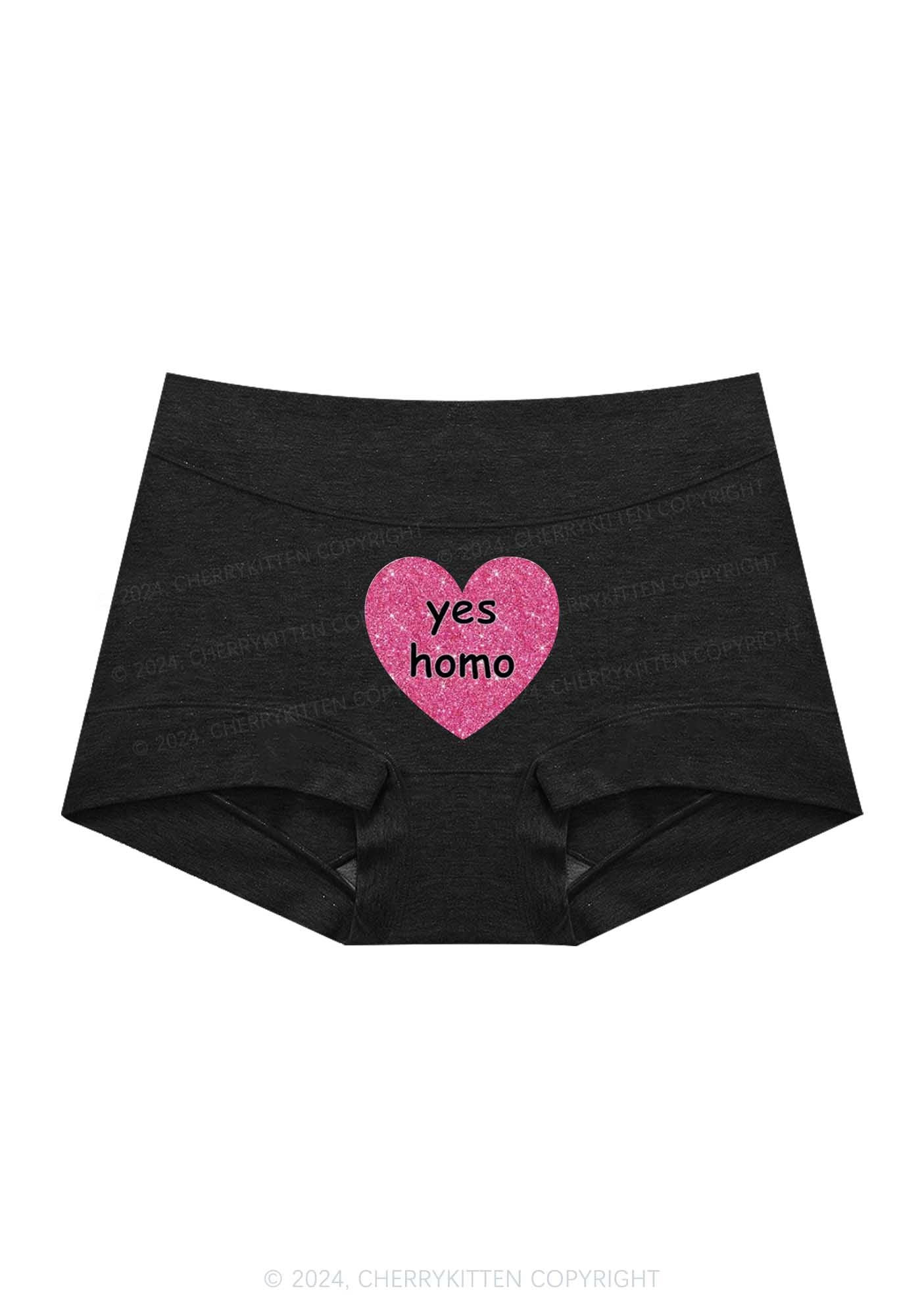 Yes Homo Y2K Mid Rise Waist Boyshort Cherrykitten