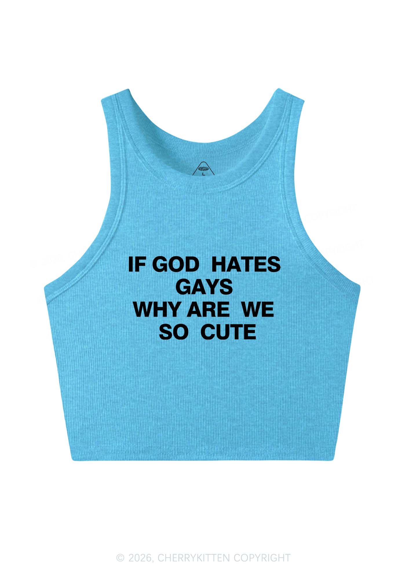 If God Hates Gays Pride Y2K Crop Tank Top Cherrykitten