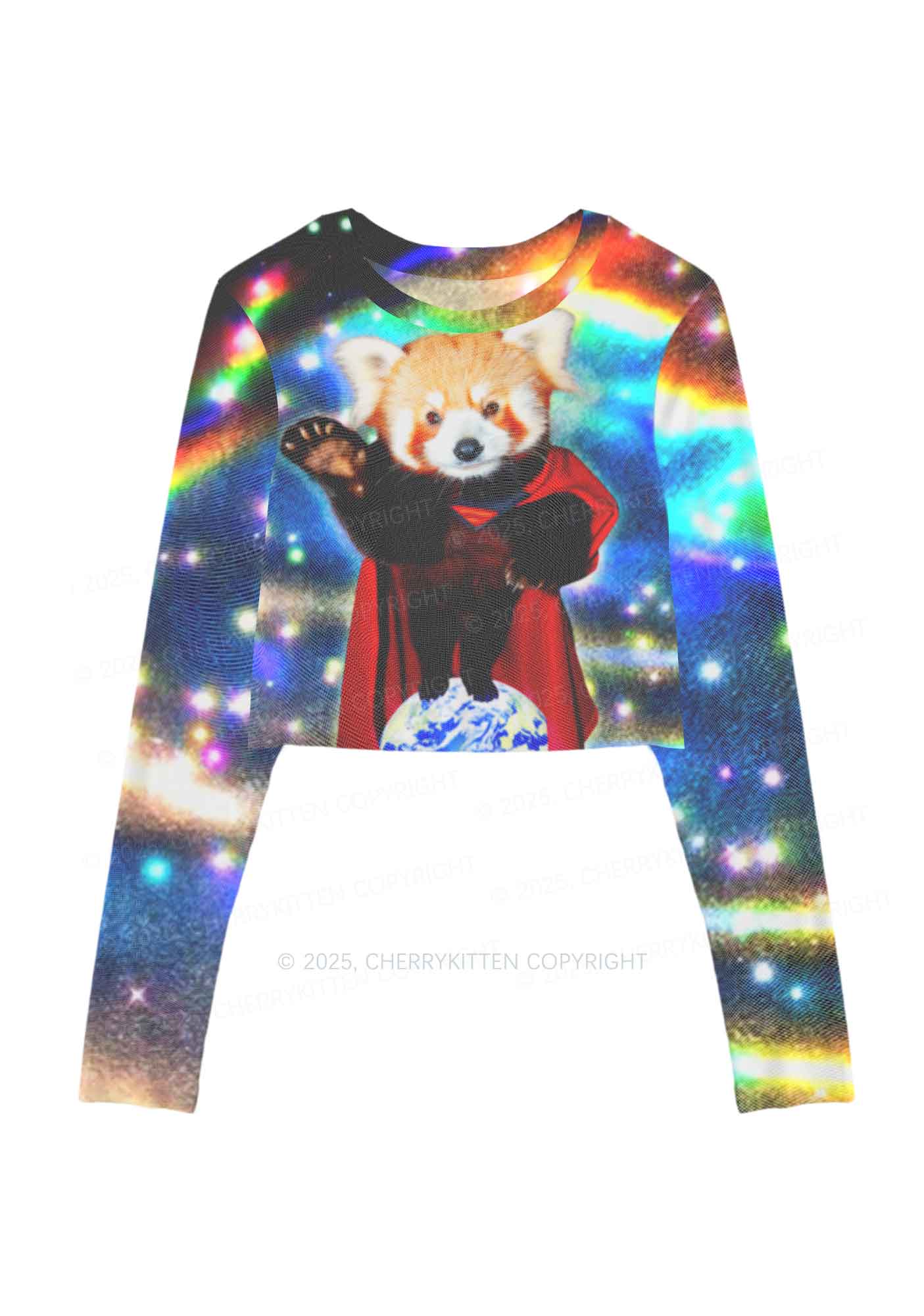 Super Raccoon Y2K Mesh Long Sleeve Crop Top Cherrykitten